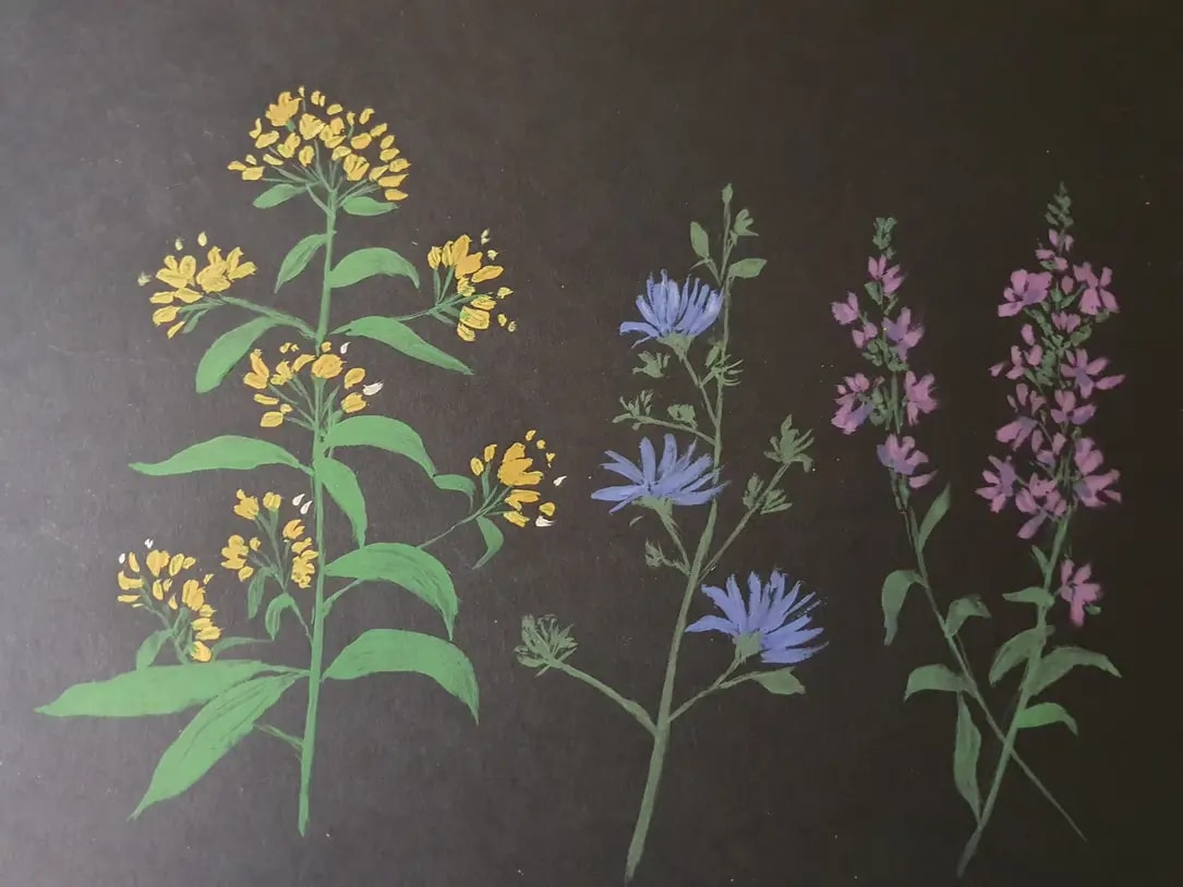 Gouache flowers:) - image 3 - student project