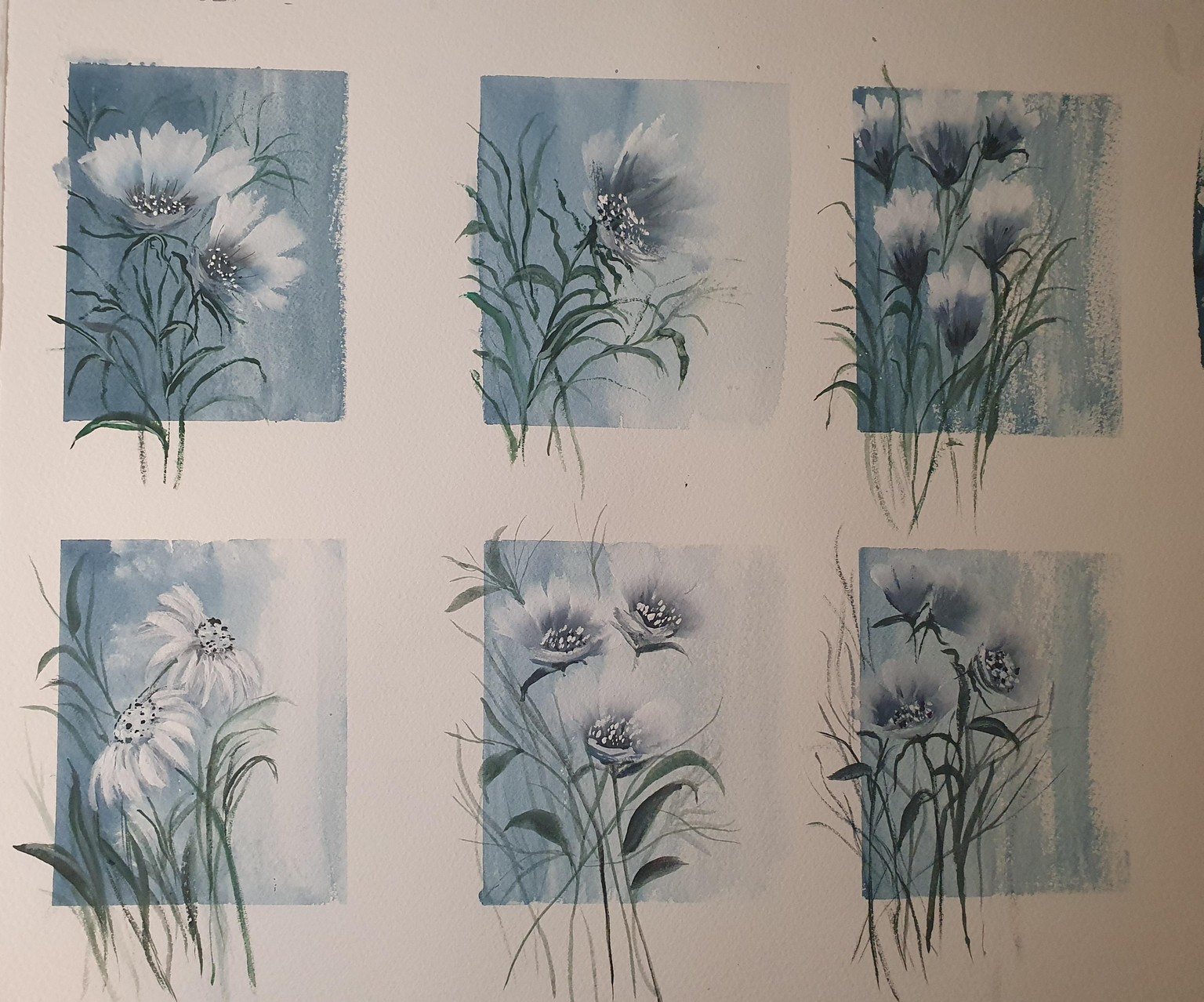 Wild flowers - image 1 - student project