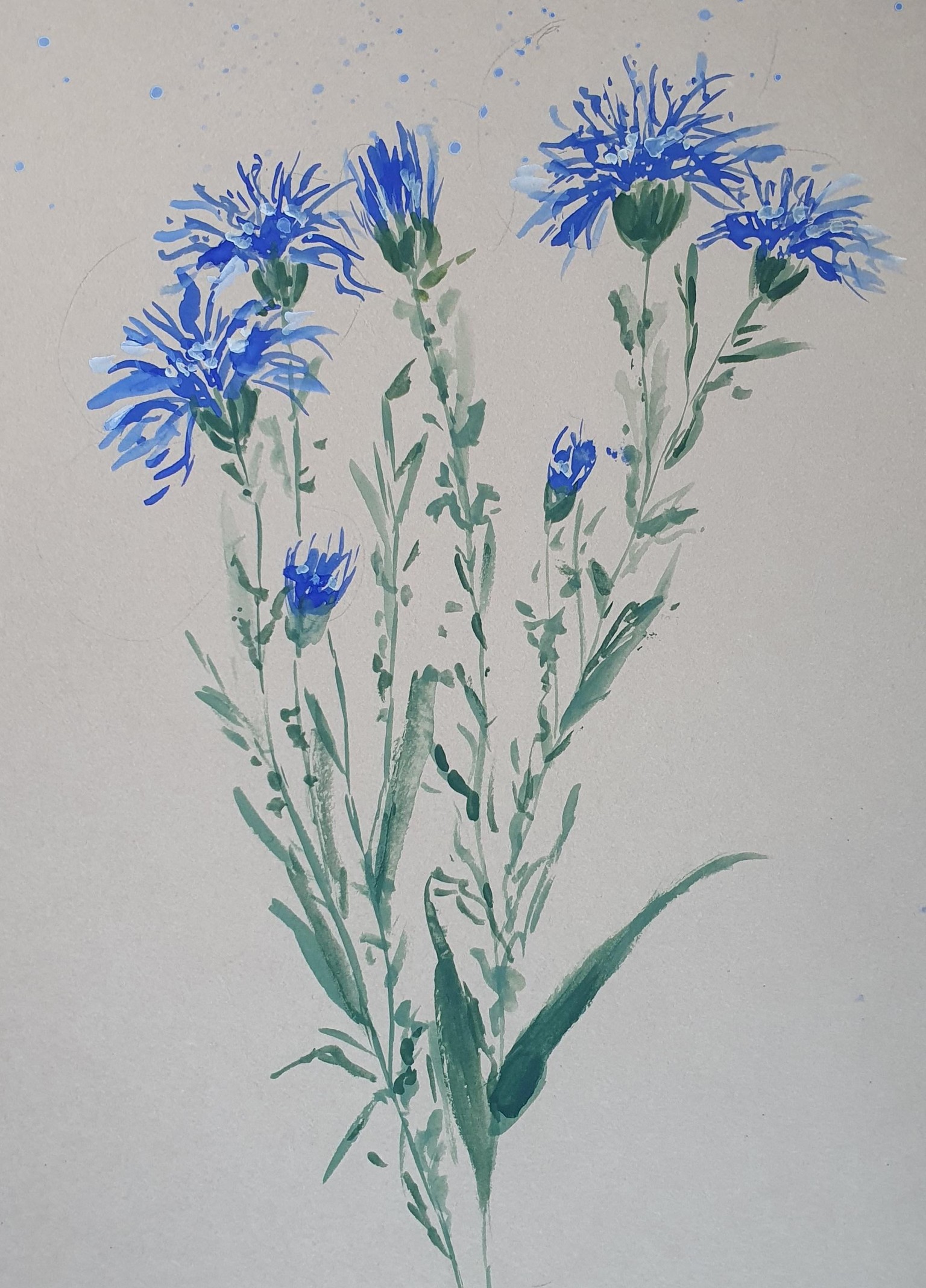 Wild flowers w gouache :) - image 1 - student project
