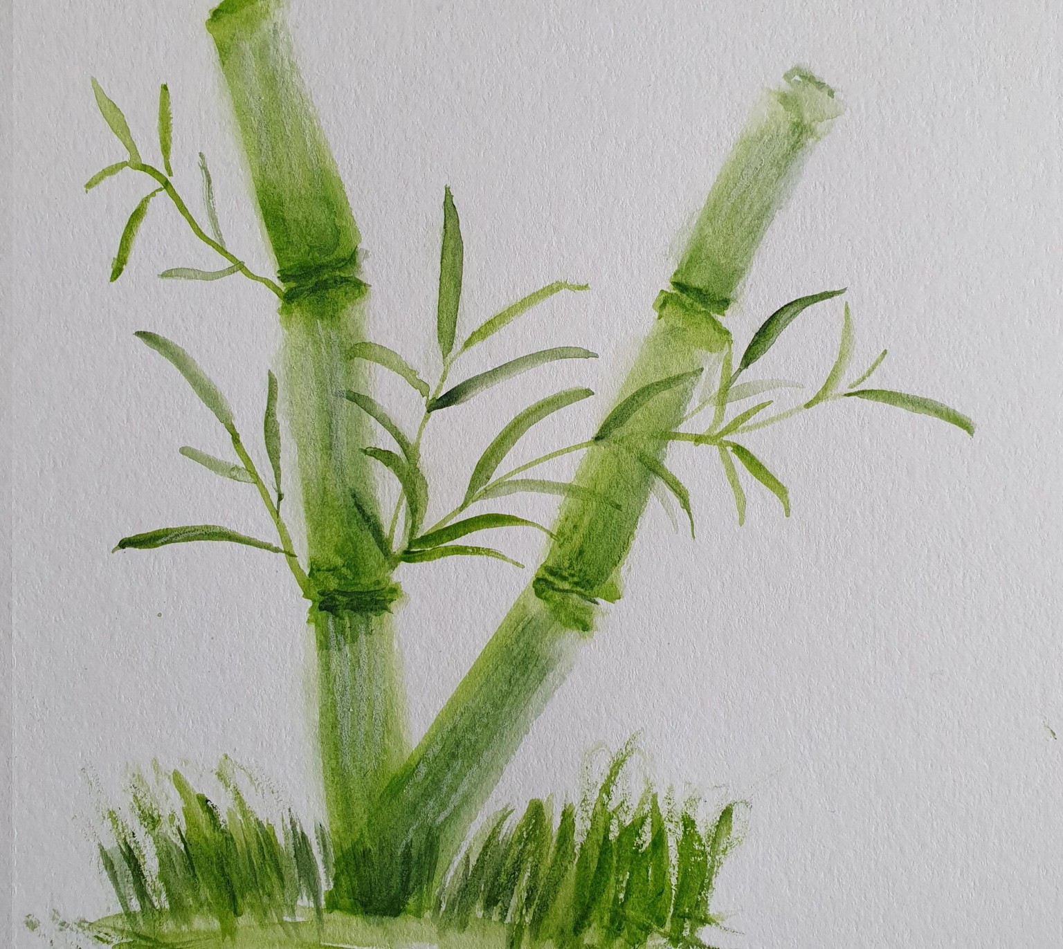 Bamboo art - image 1 - student project