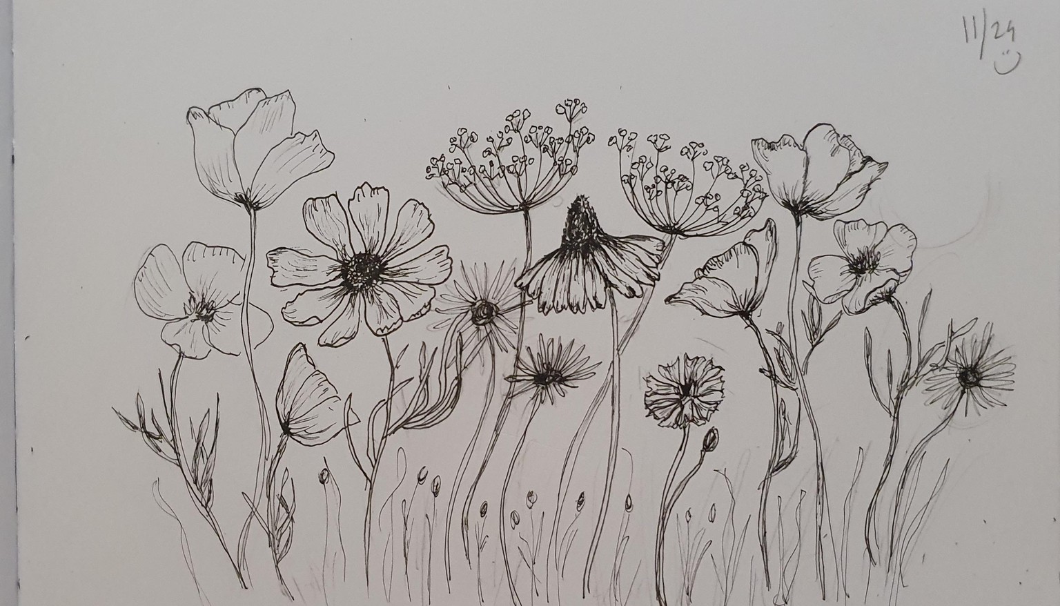 Wild flowers :) - image 1 - student project