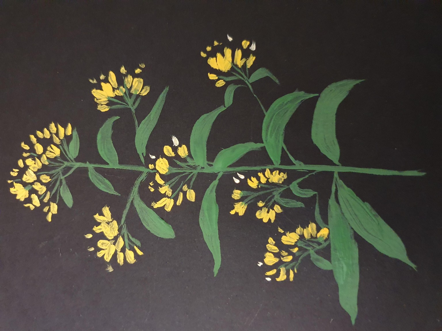 Gouache flowers:) - image 1 - student project