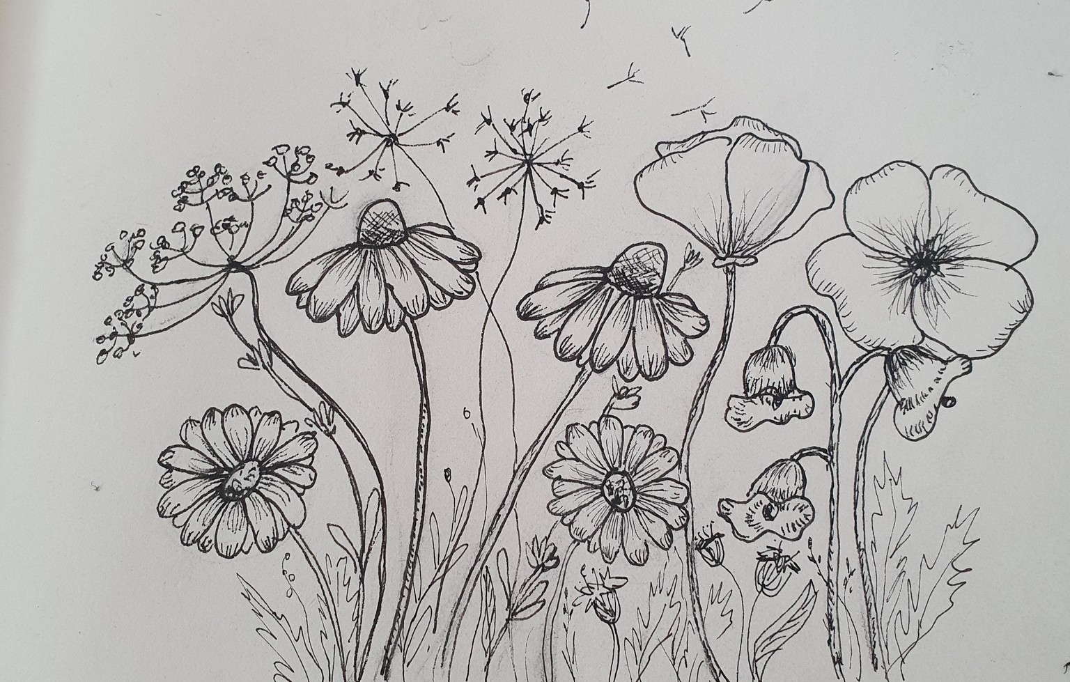 Wild flowers w ink pen :))) - image 2 - student project