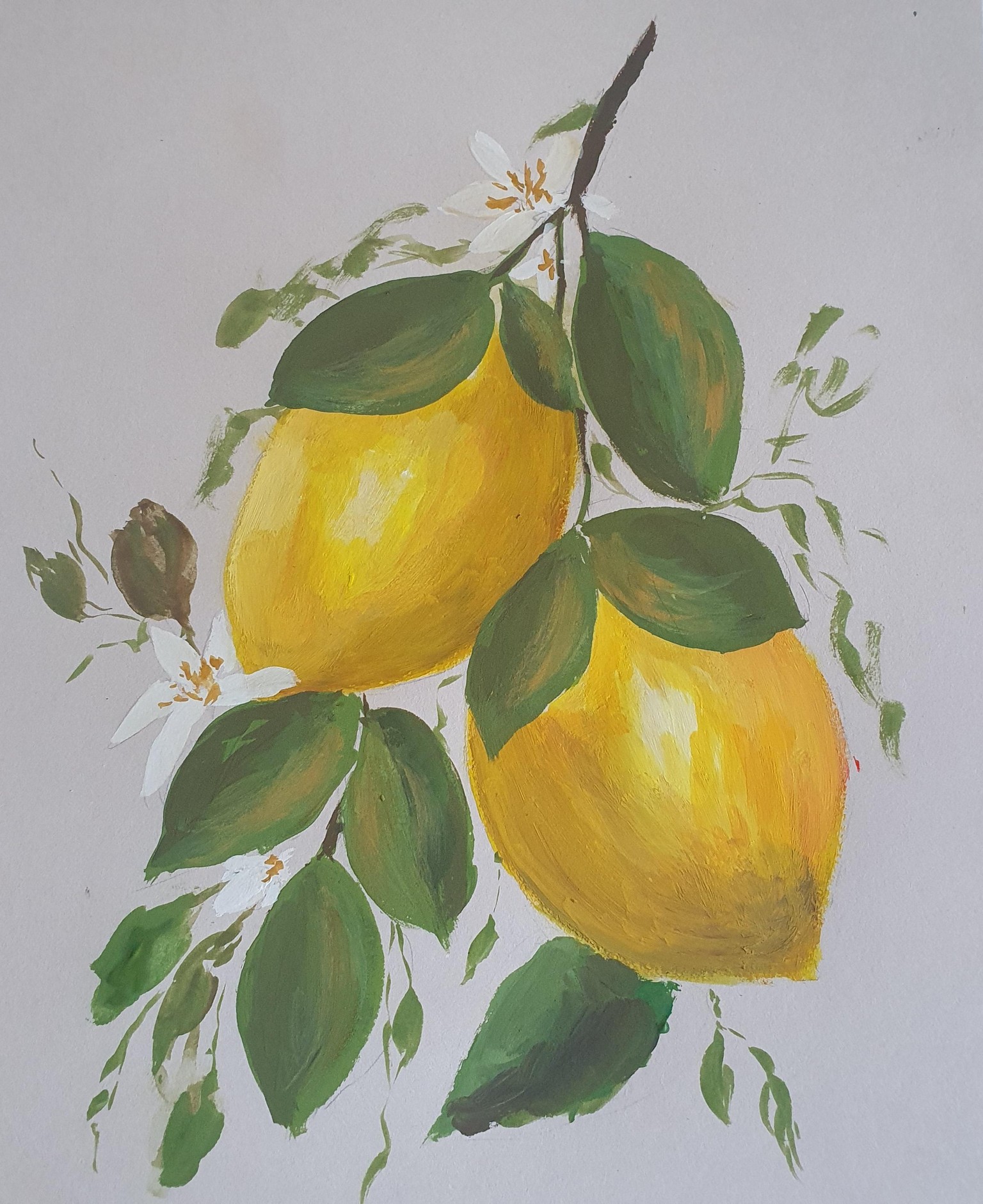 Vintage fruits :)) - image 2 - student project