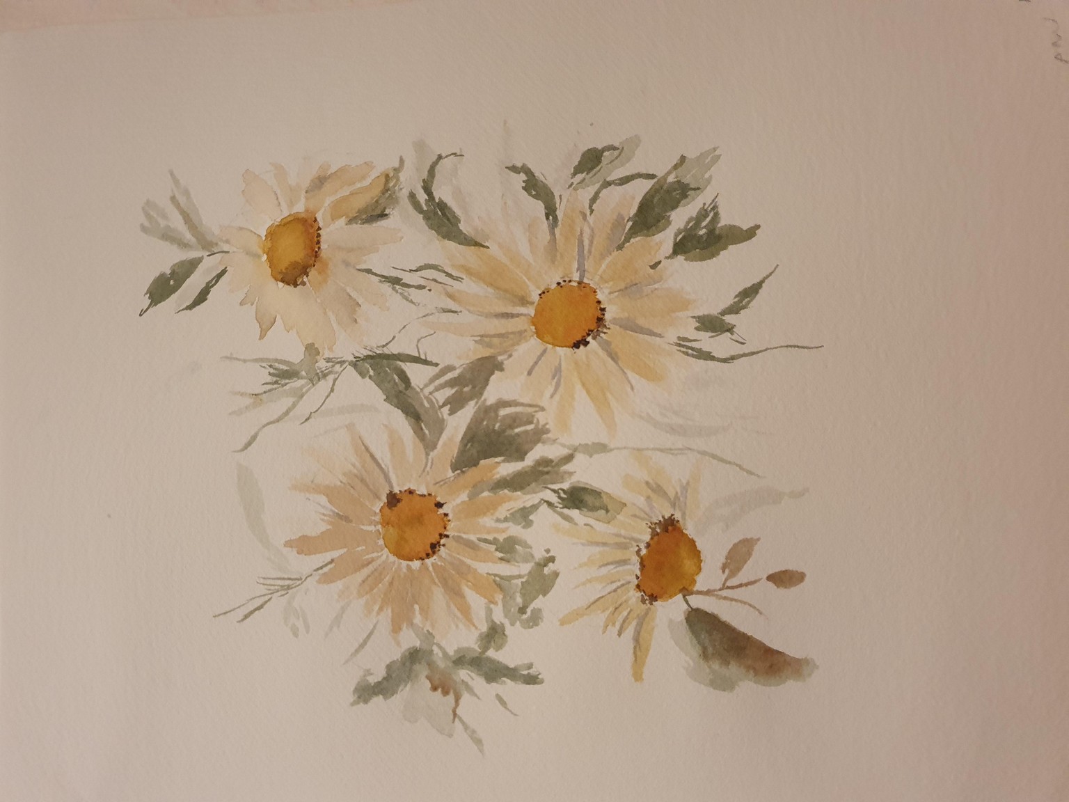 Vintage daisies  - image 1 - student project