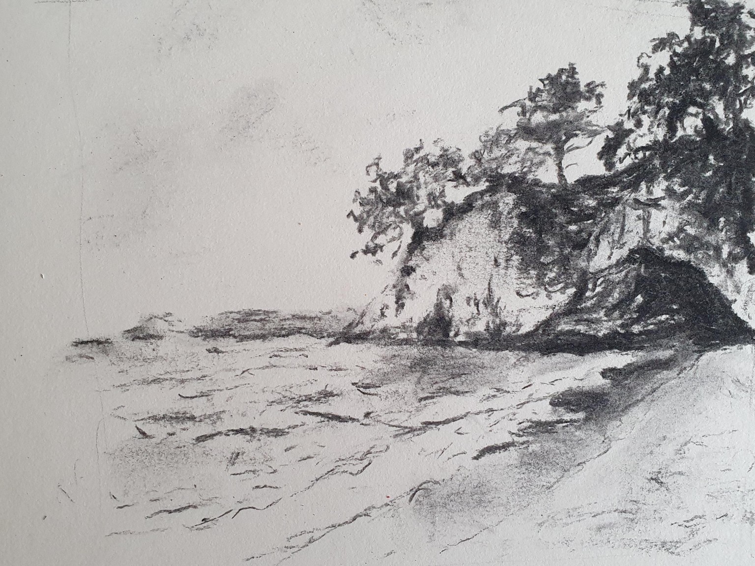 Woods, a sea drafts - image 2 - student project
