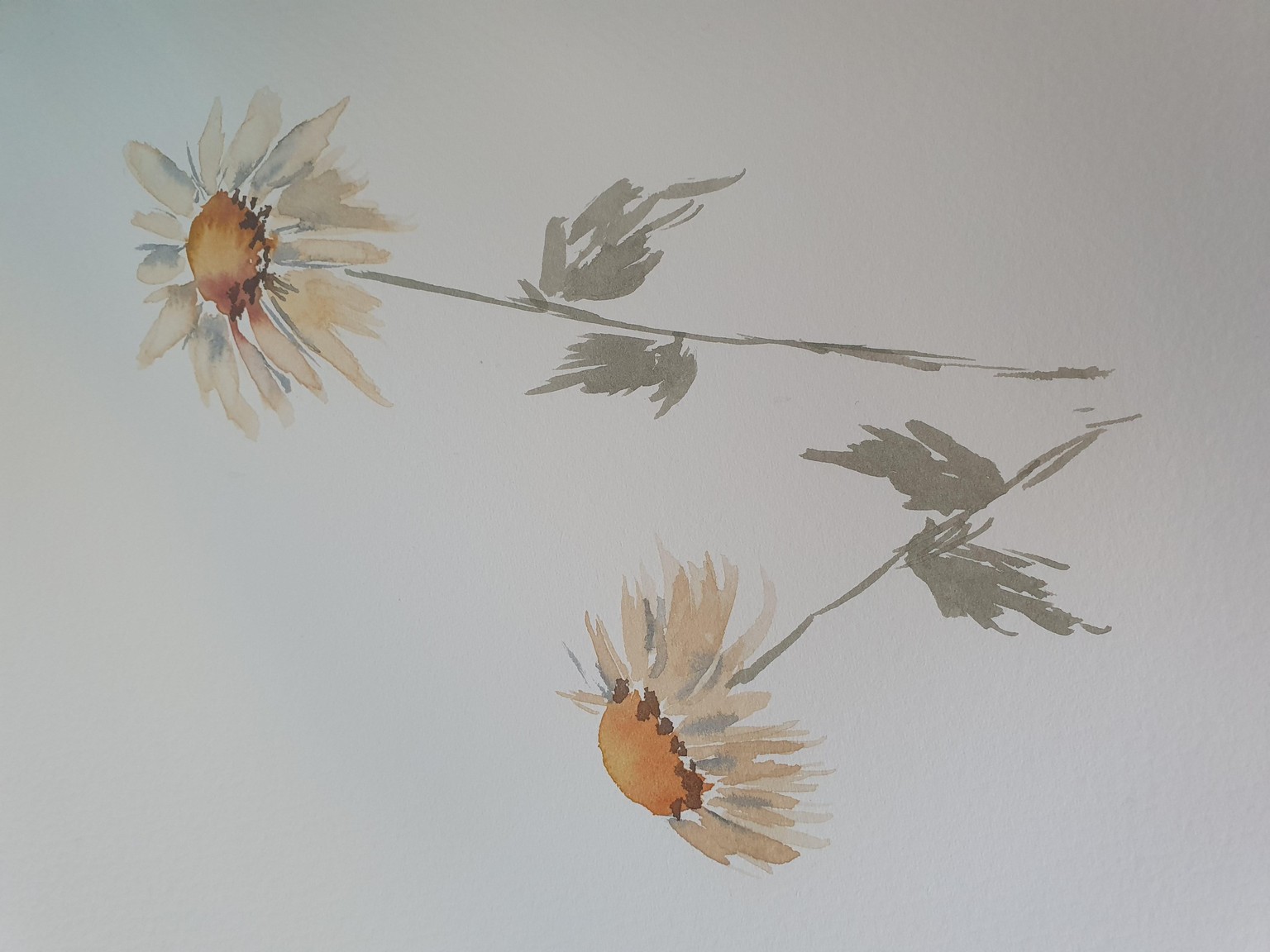 Vintage daisies  - image 2 - student project