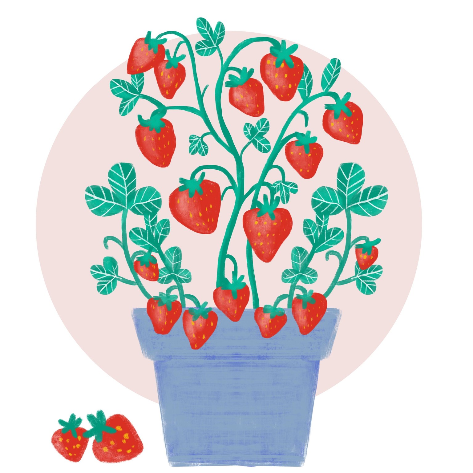 Learn Illustration on the iPad in 4 Projects - image 6 - student project