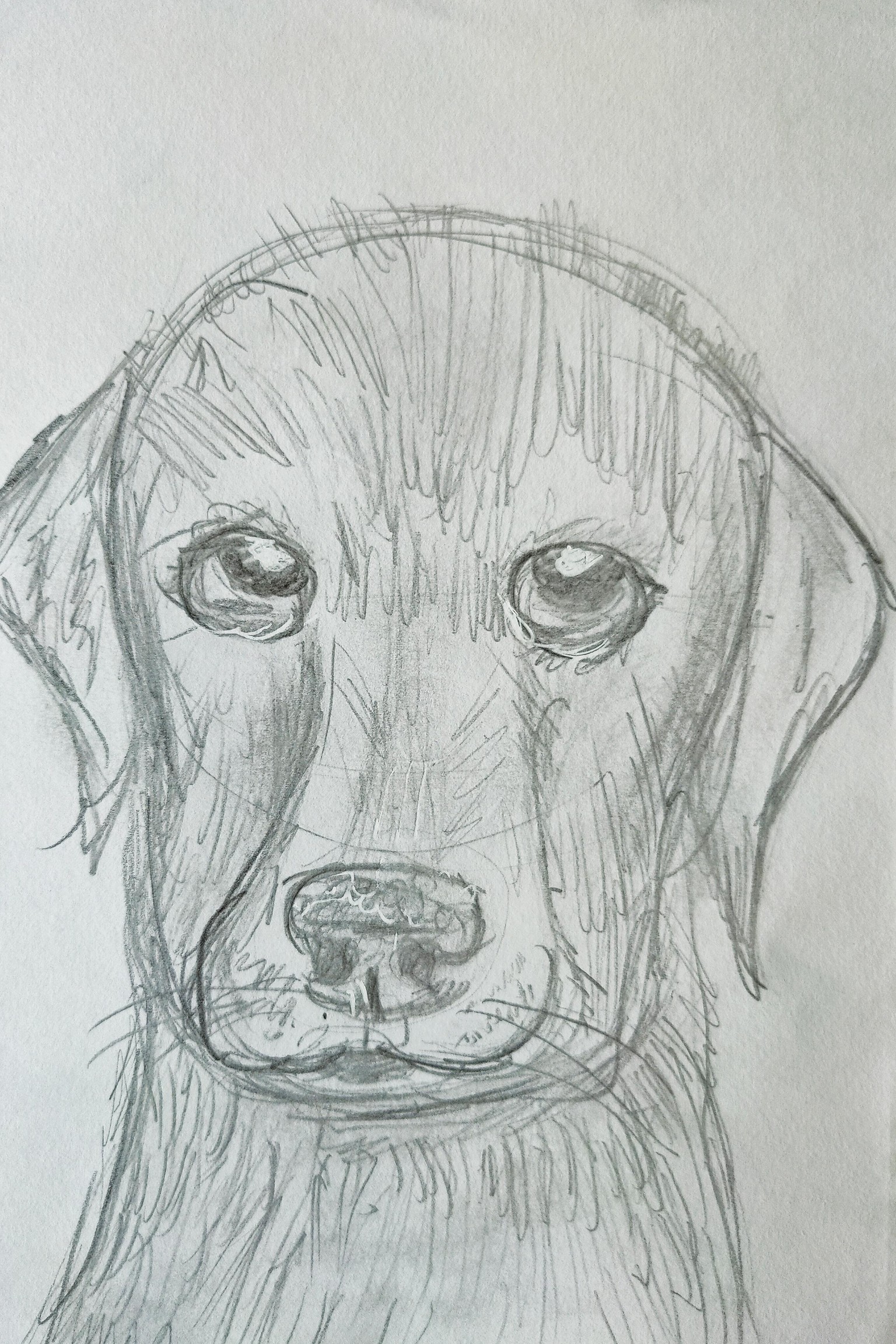 See Better to Draw Better - image 7 - student project