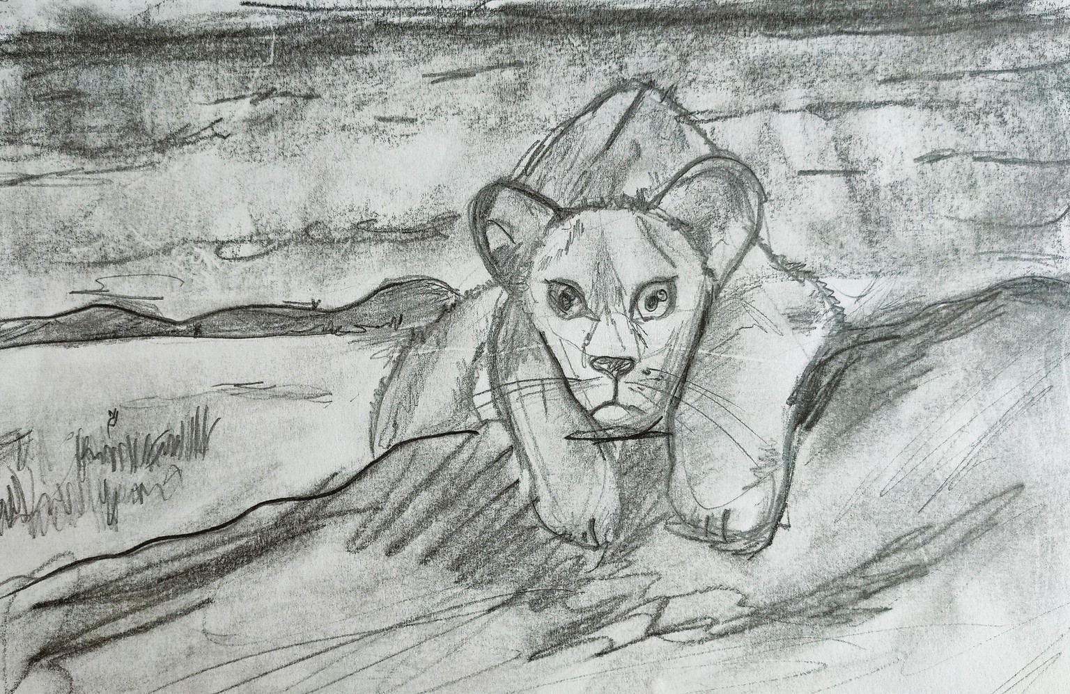 See Better to Draw Better - image 6 - student project