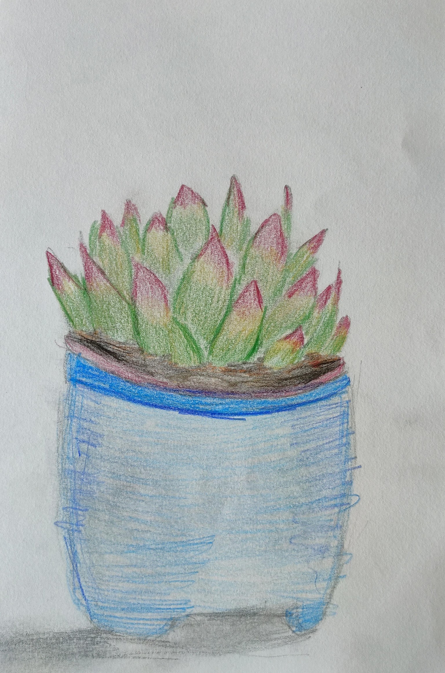 See Better to Draw Better - image 9 - student project