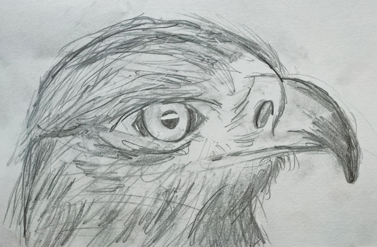 See Better to Draw Better - image 8 - student project