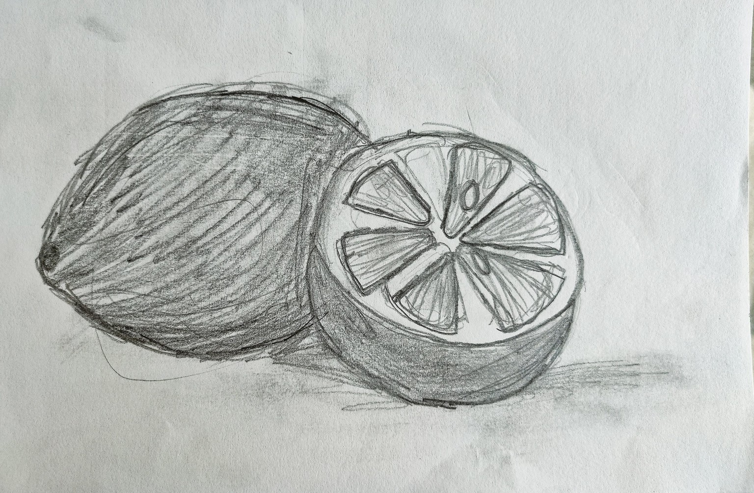 See Better to Draw Better - image 4 - student project