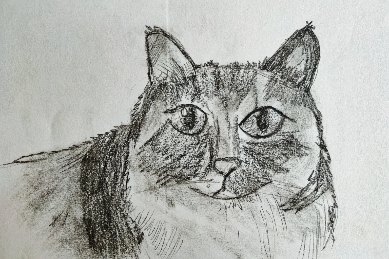 See Better to Draw Better - image 5 - student project