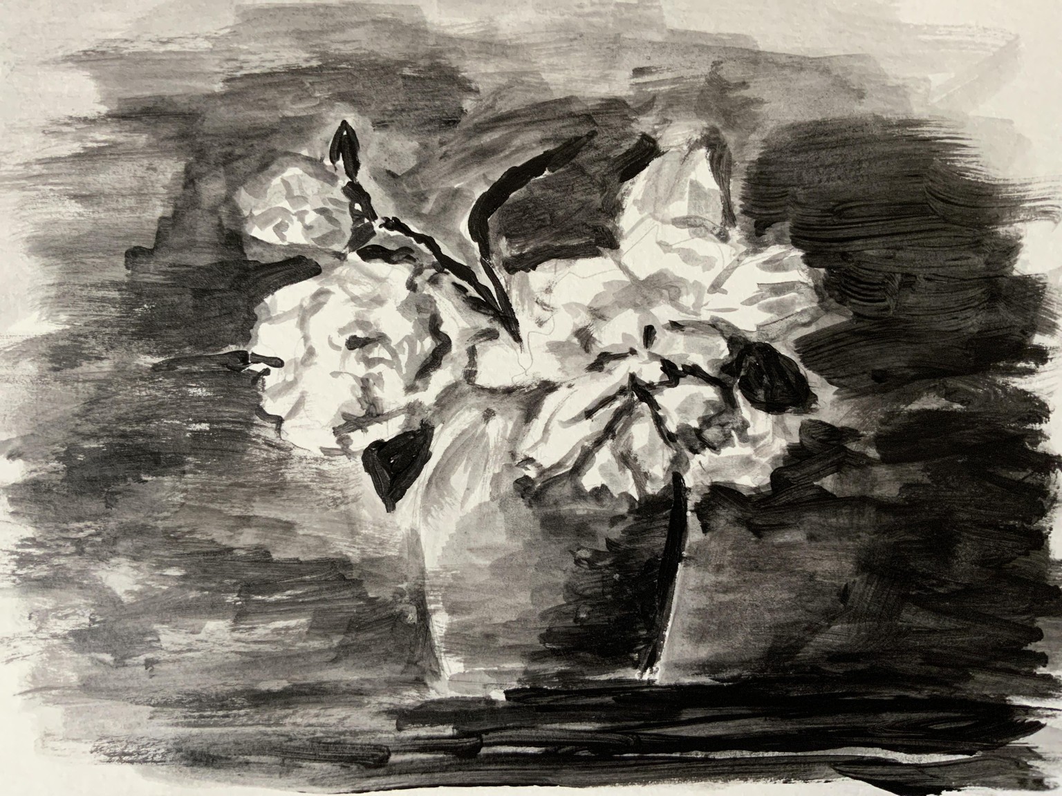 Exercise 1 - image 1 - student project