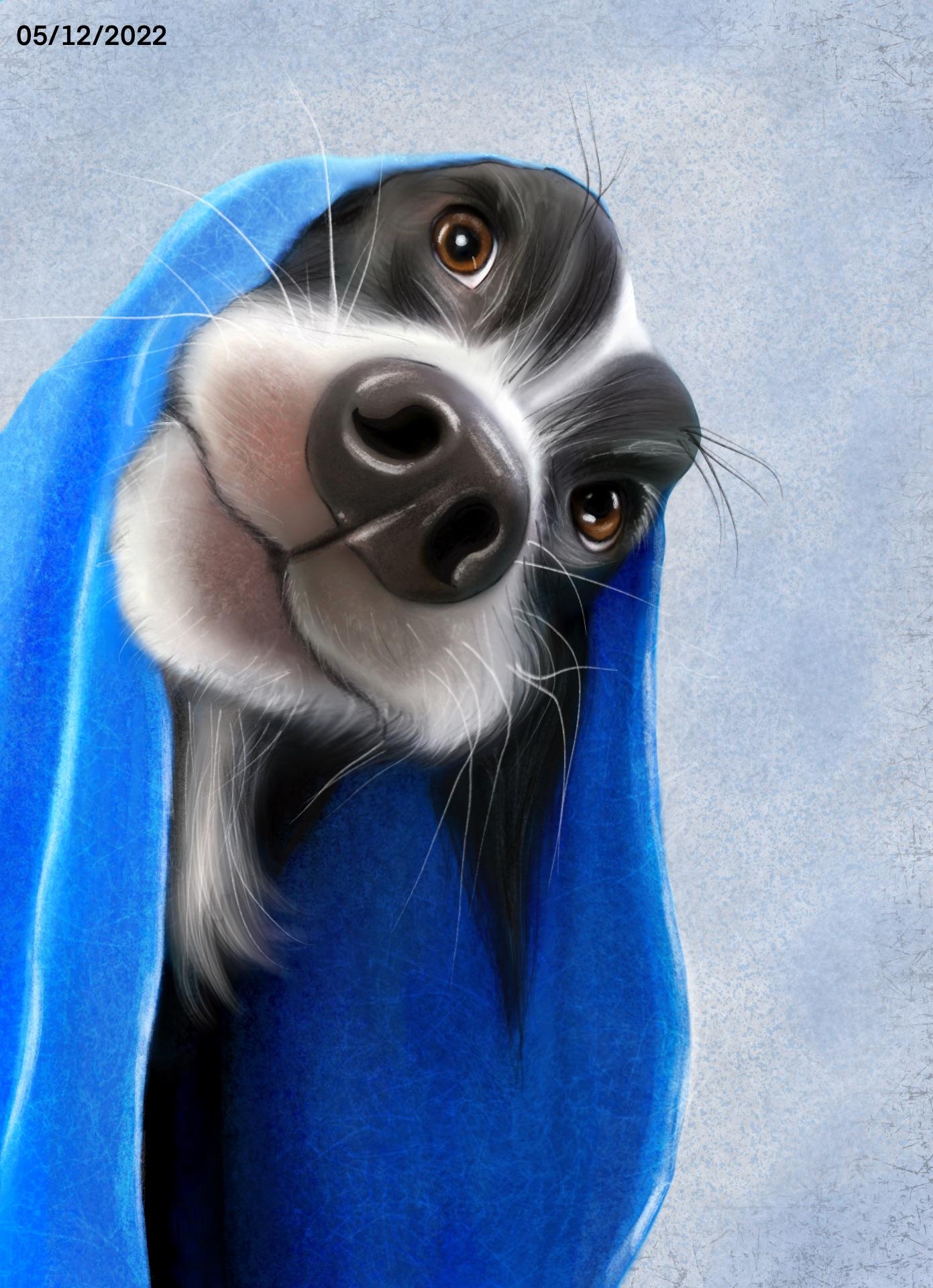 Pet illustration - image 1 - student project