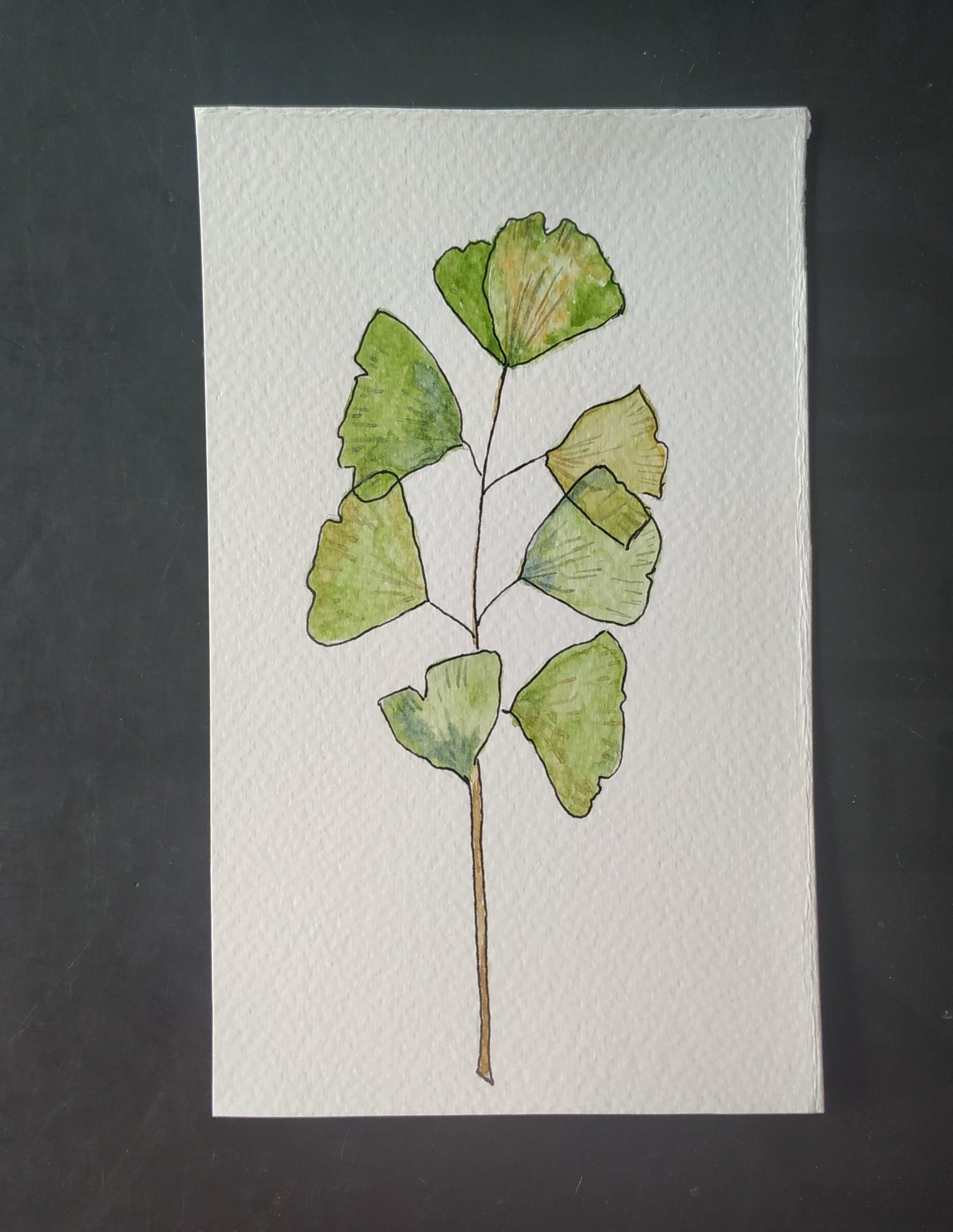 Flores - image 1 - student project