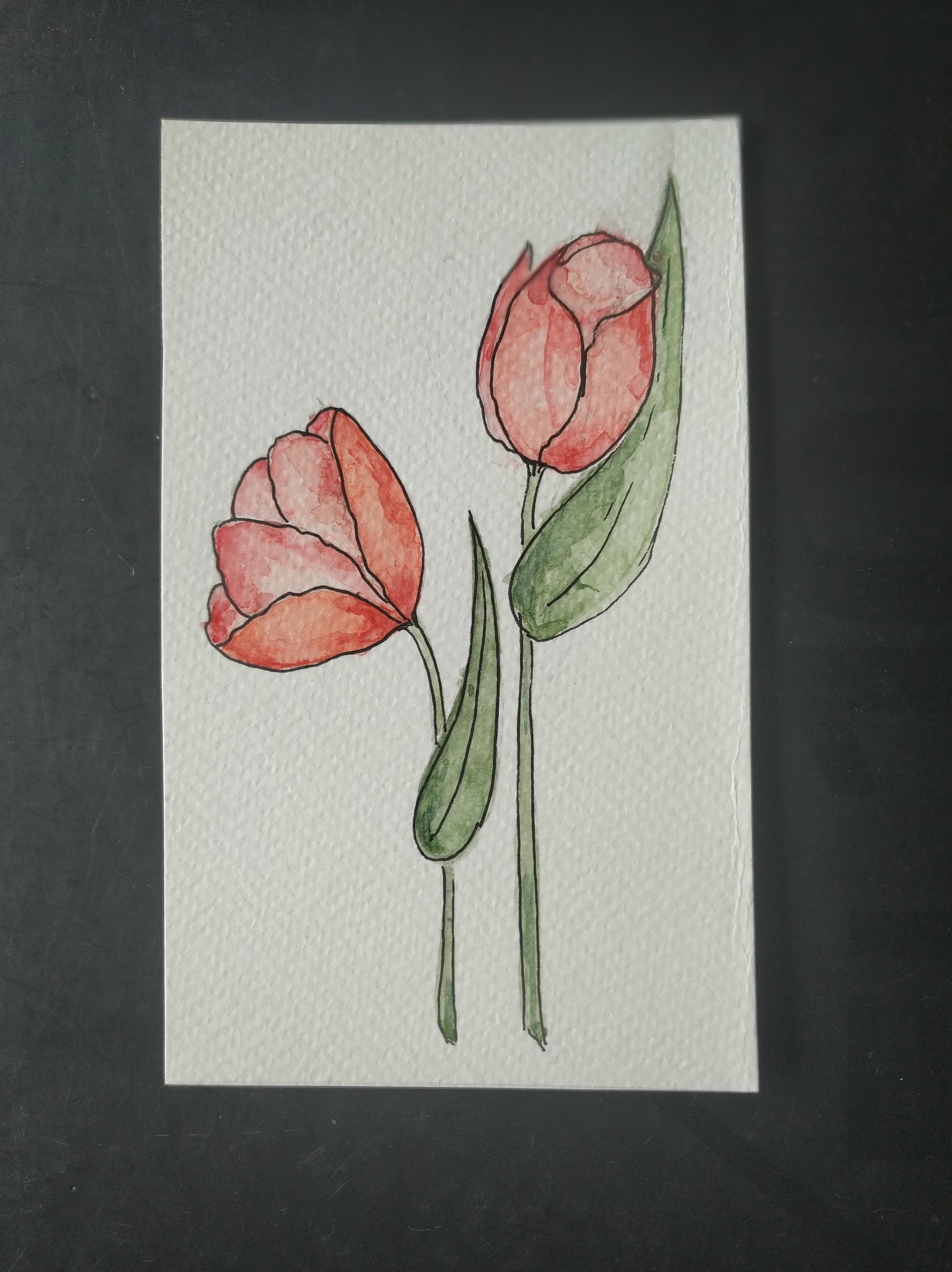 Flores - image 2 - student project