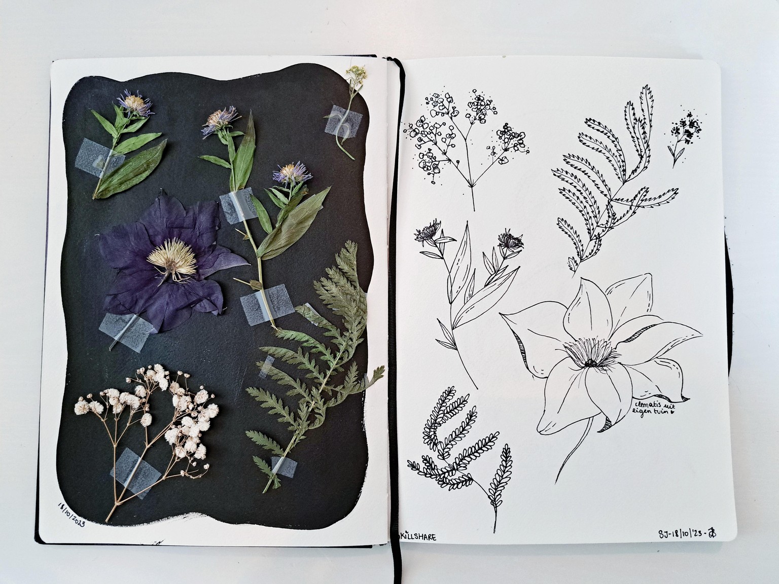Botanical Fun - image 1 - student project