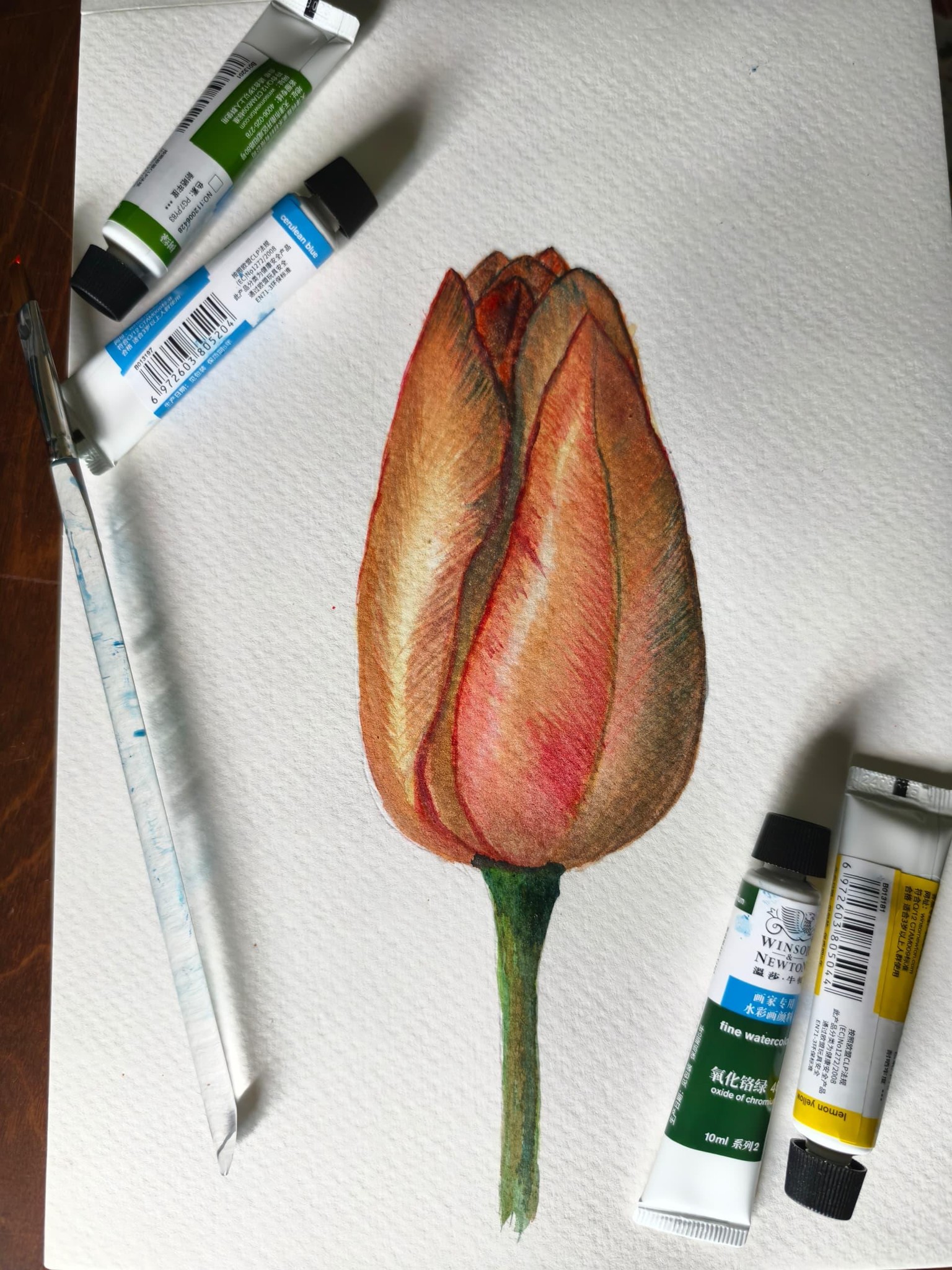Drawing a tulip - image 1 - student project