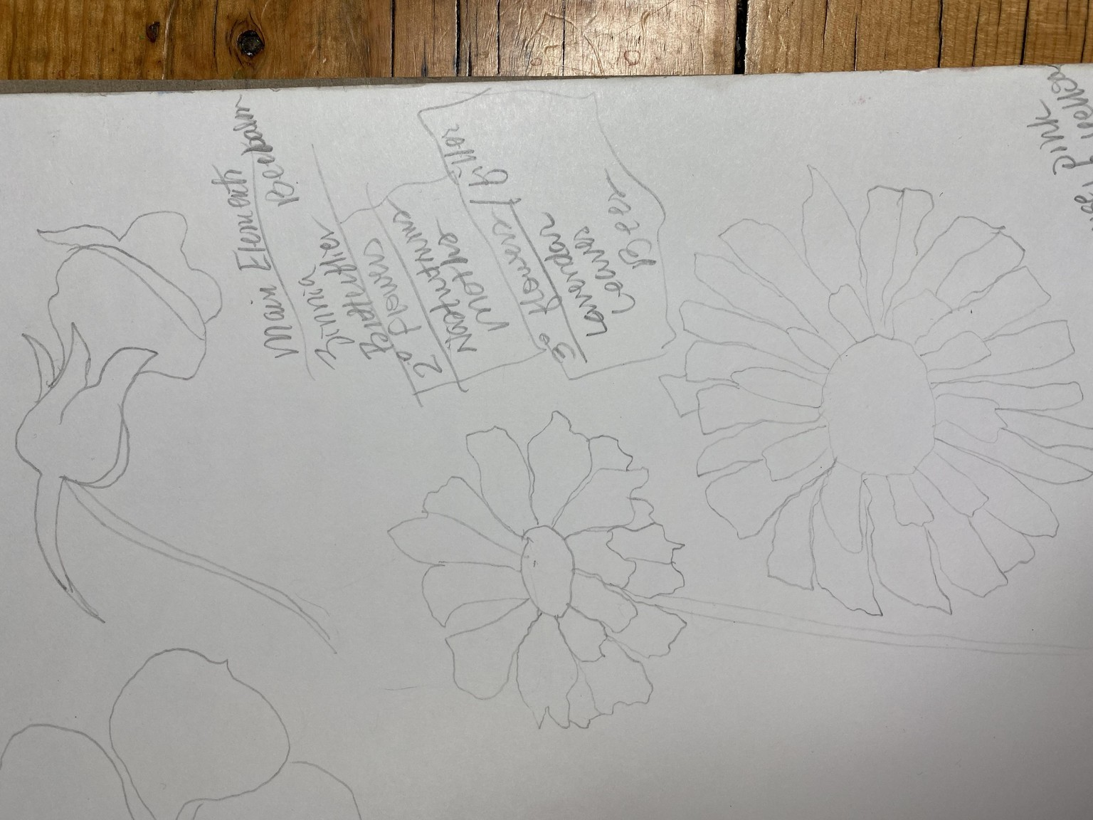 Repeating floral with butterflies. - image 1 - student project
