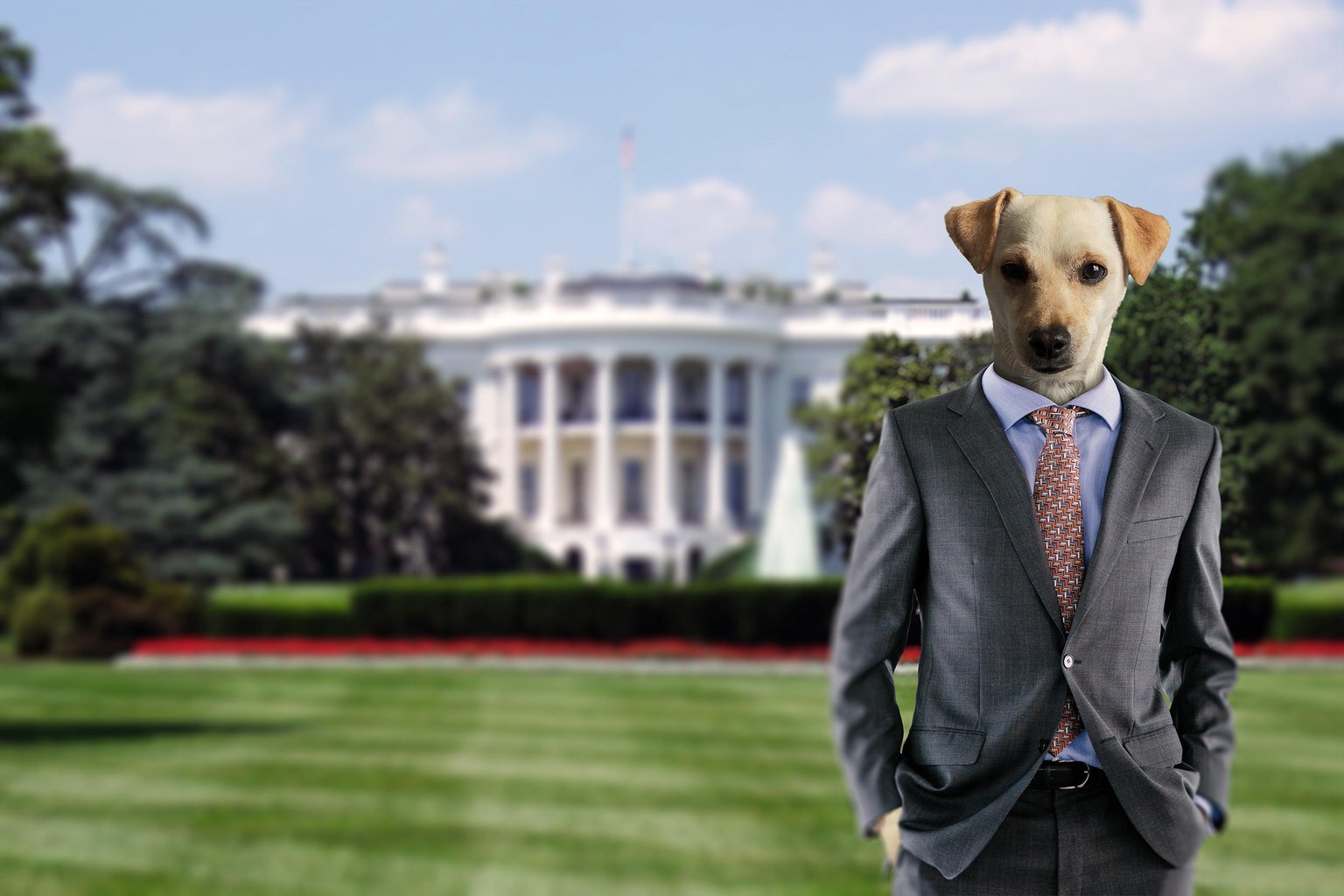 Photoshop Projects - image 2 - student project