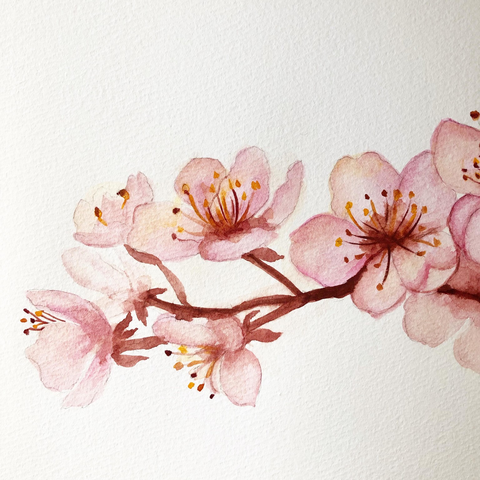 Cherry Blossoms with Esther - image 2 - student project