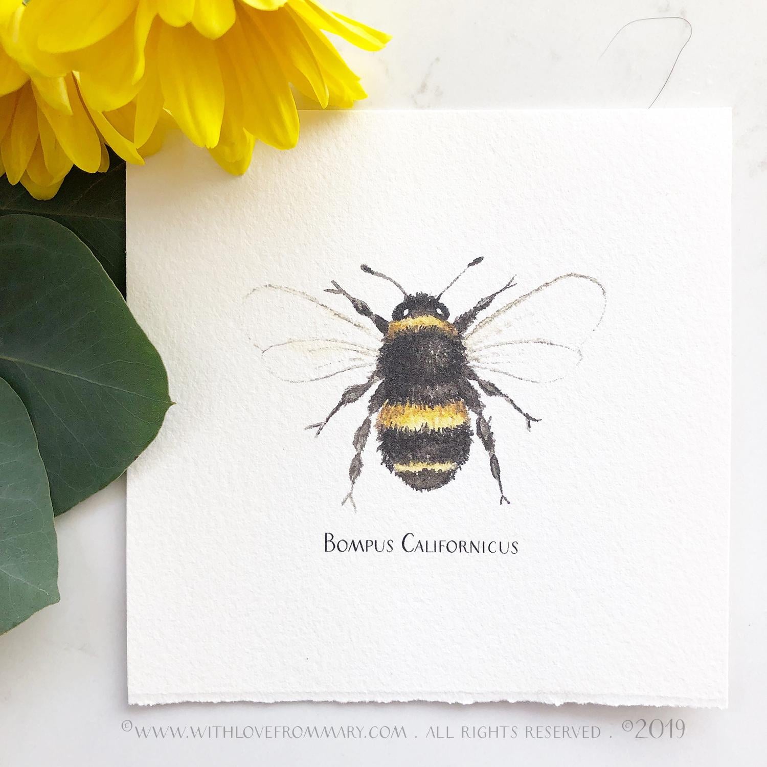 A Bee 3 Ways - image 2 - student project