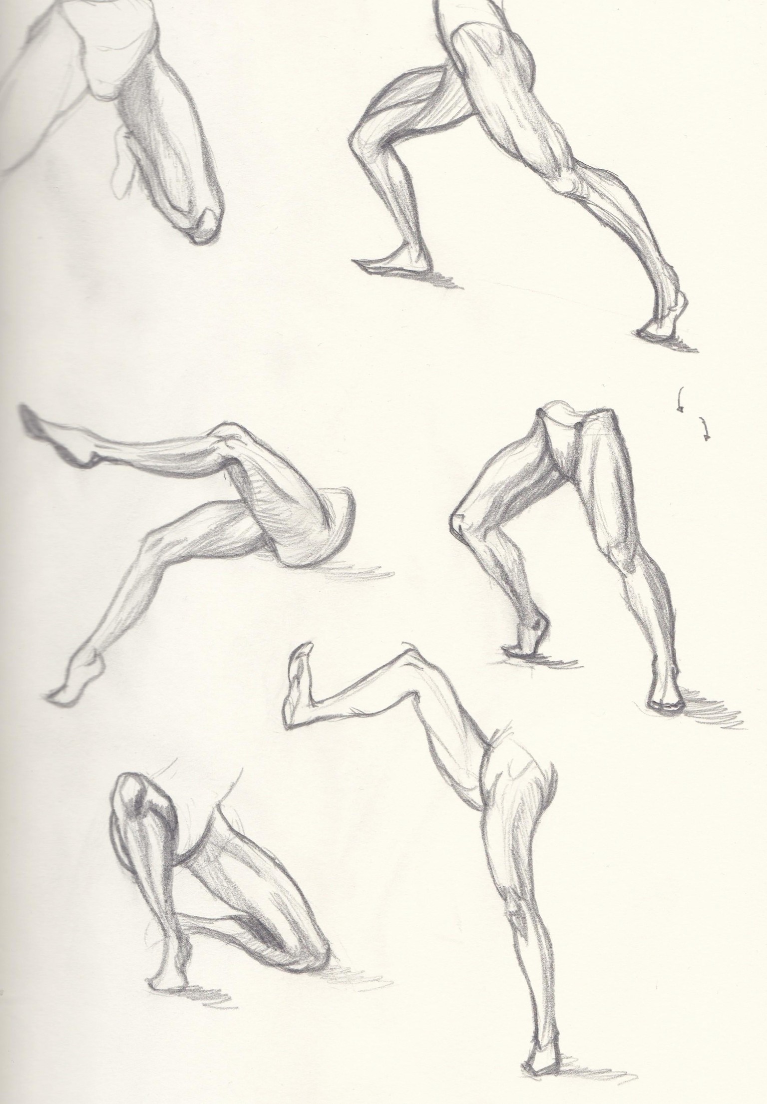 leg anatomy - image 3 - student project