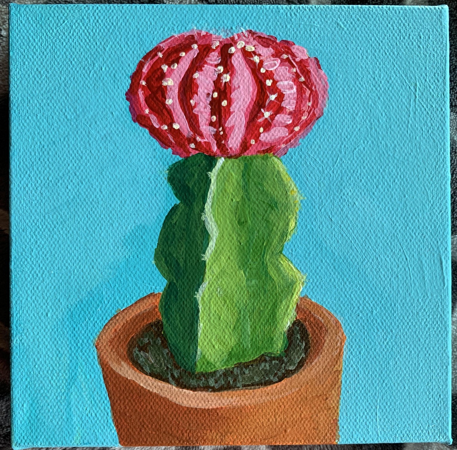 Cactus! - image 1 - student project