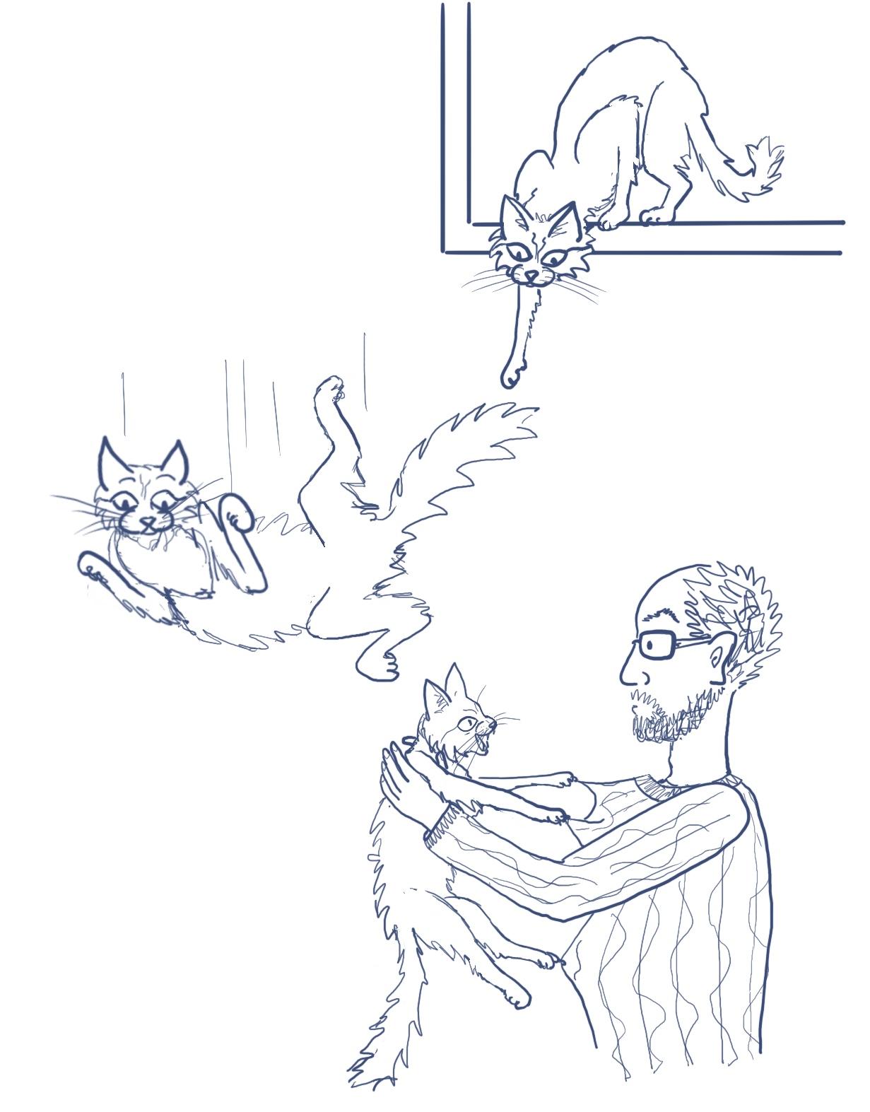 A cat from the inside out - image 3 - student project