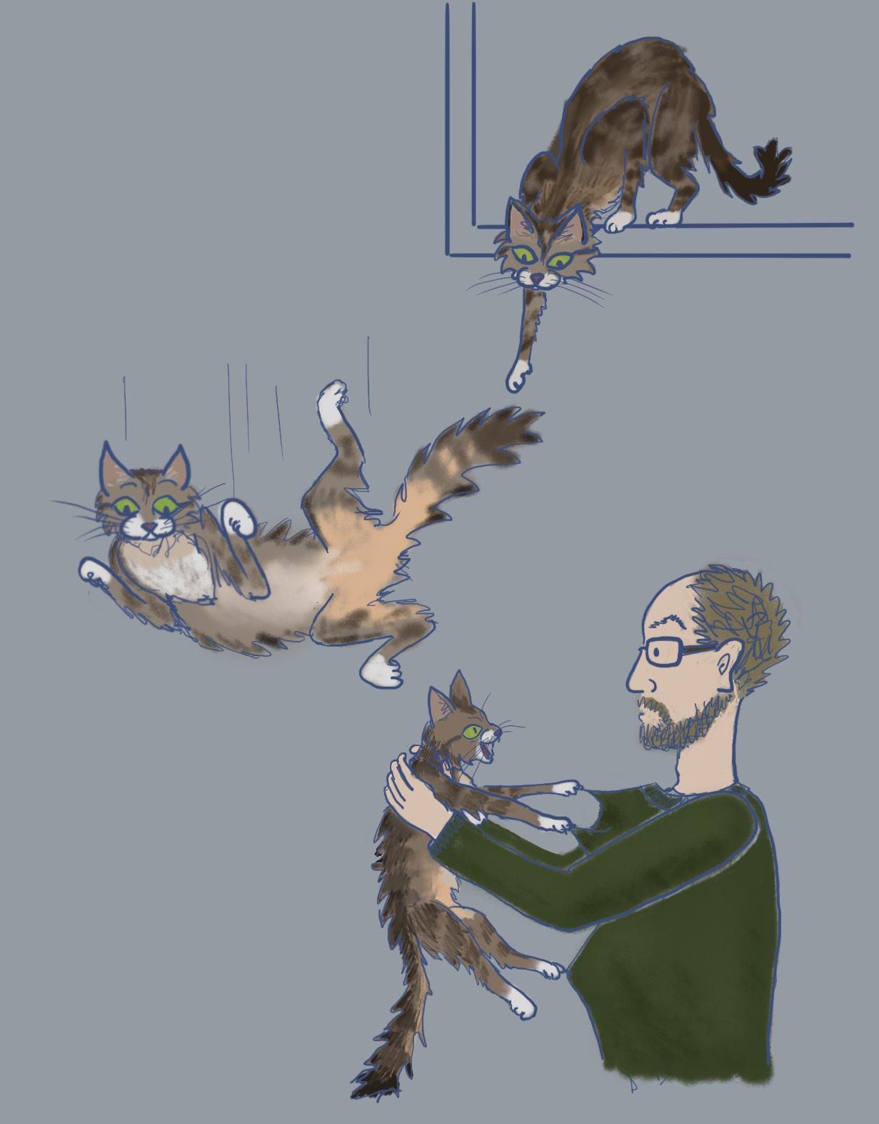 A cat from the inside out - image 4 - student project