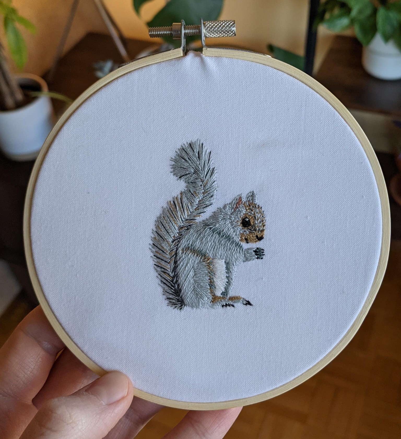 Gray squirrel! - image 1 - student project
