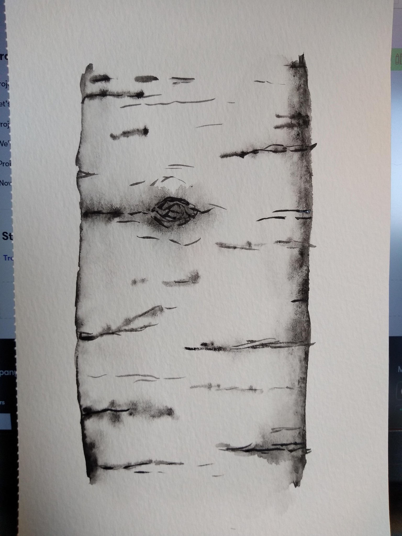 Watercolor for beginners - image 1 - student project