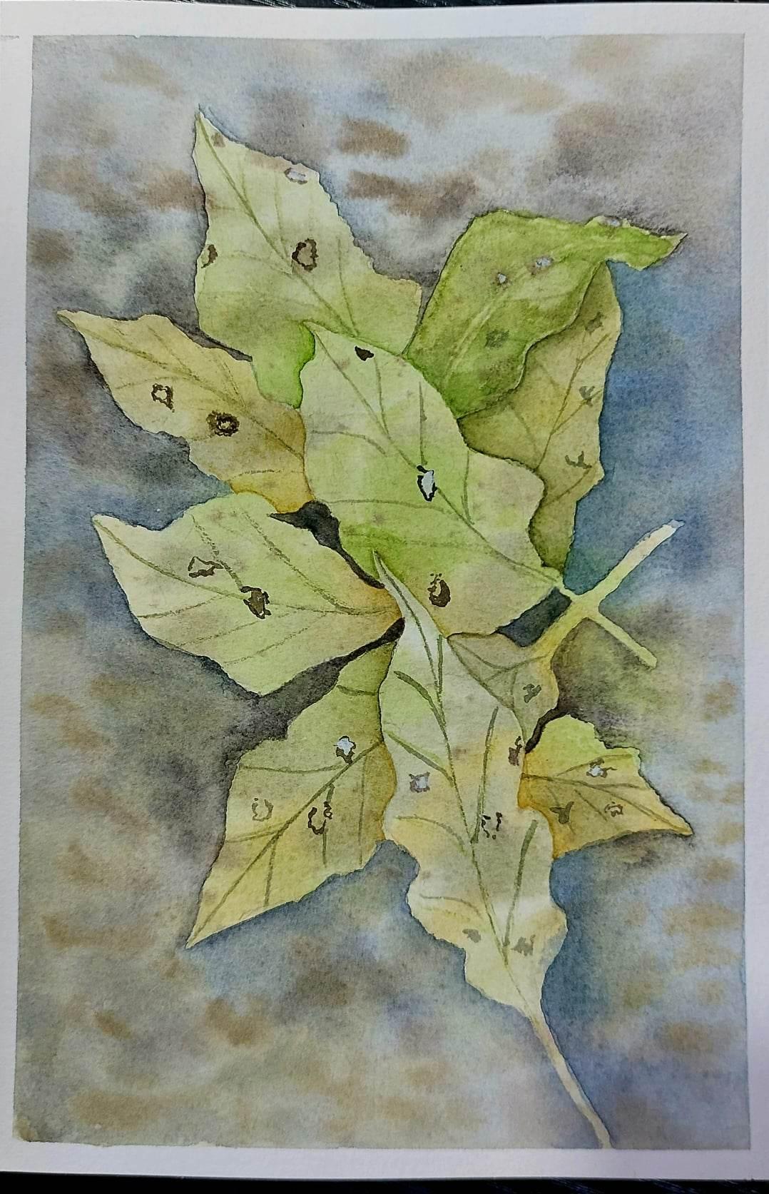 leaves - image 1 - student project