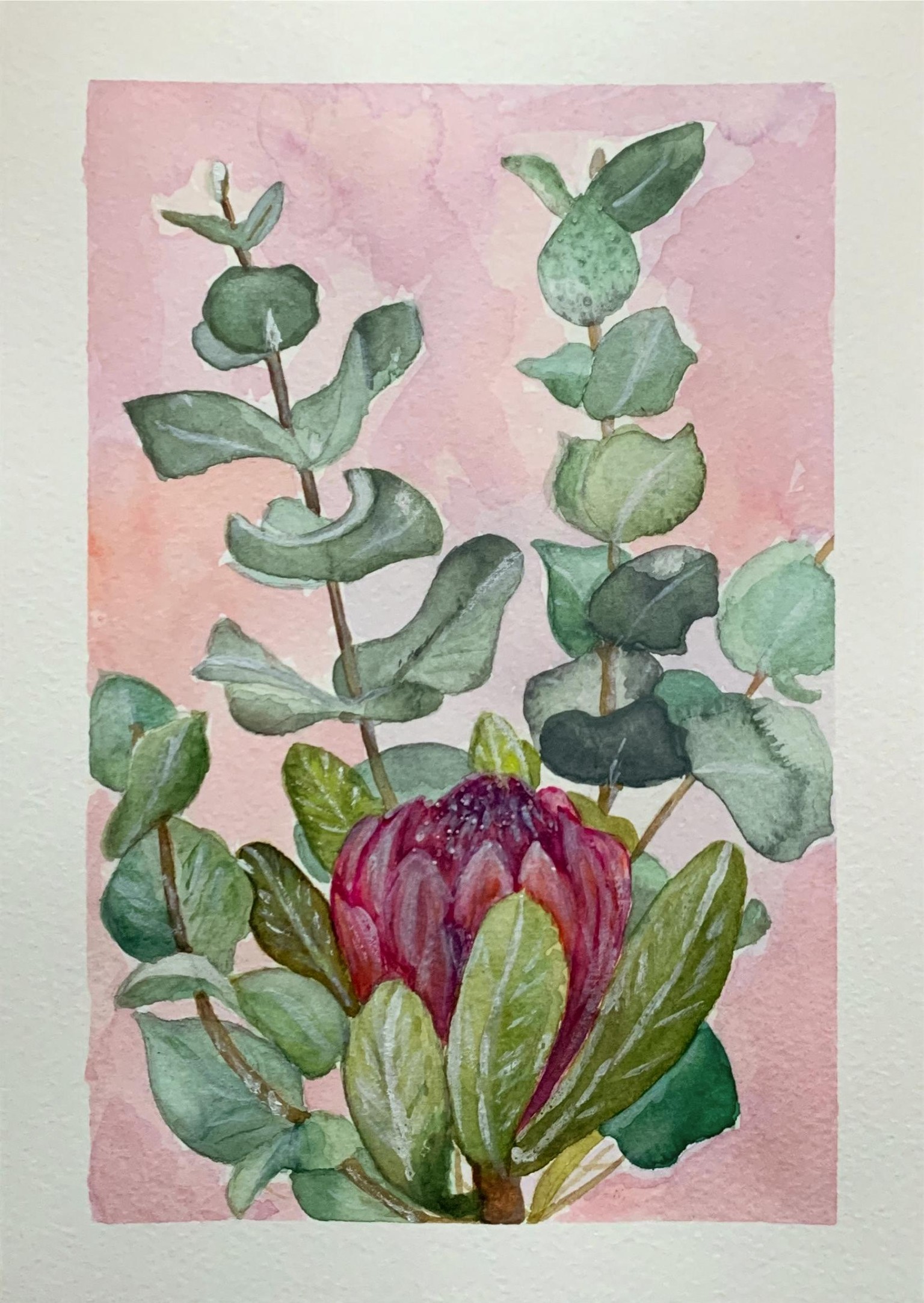 Eucalyptus - image 1 - student project