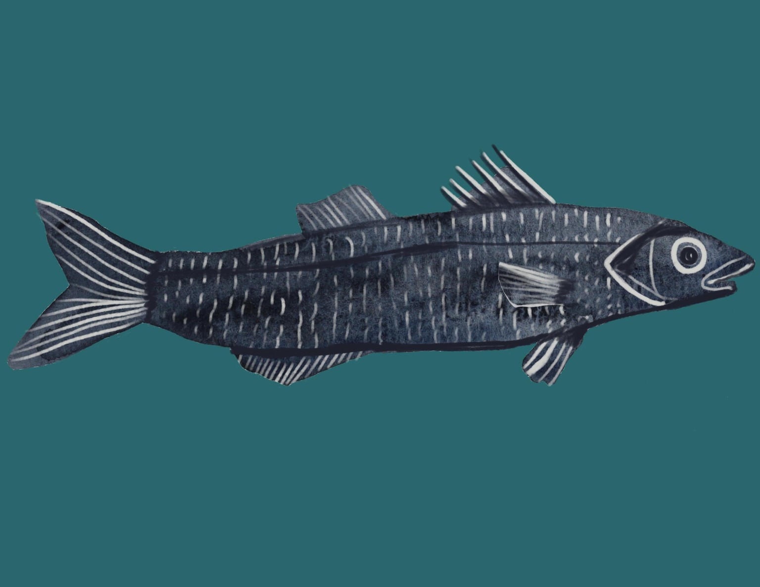 Fun fishie - image 1 - student project