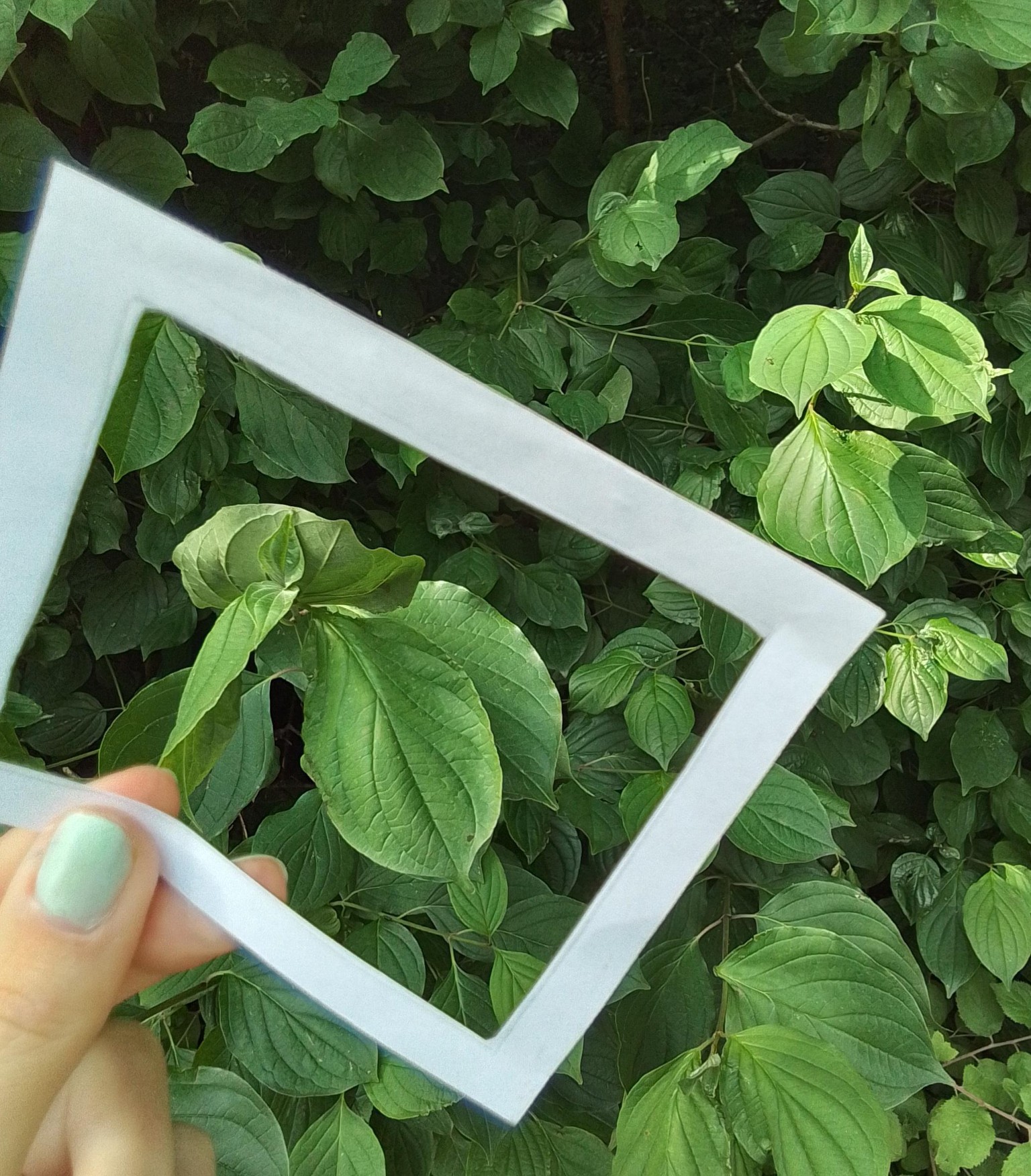 Reframing the Familiar - image 3 - student project