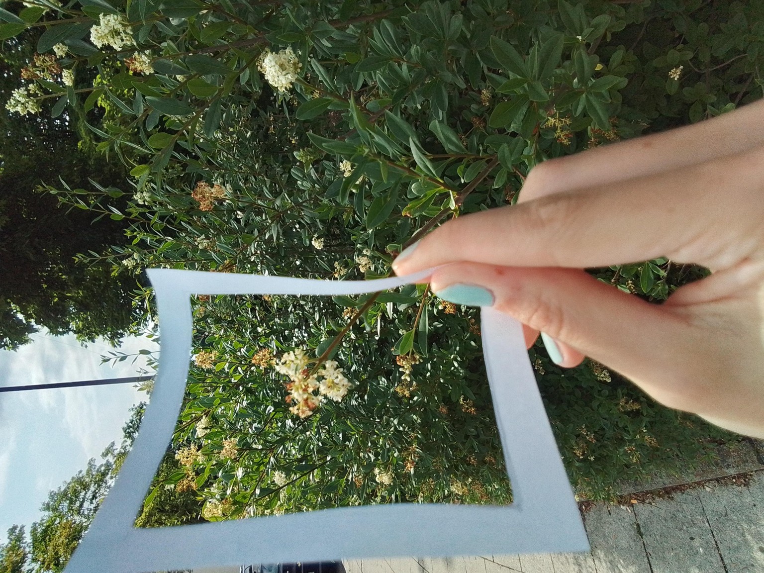 Reframing the Familiar - image 2 - student project