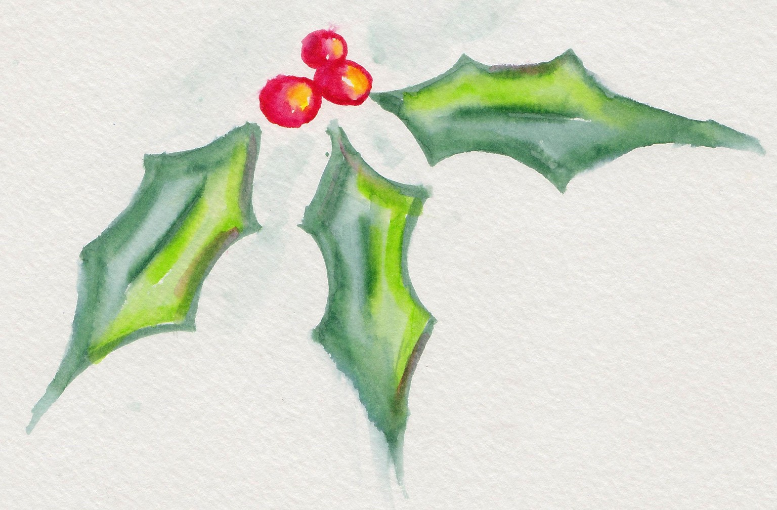 More Hollies - image 1 - student project