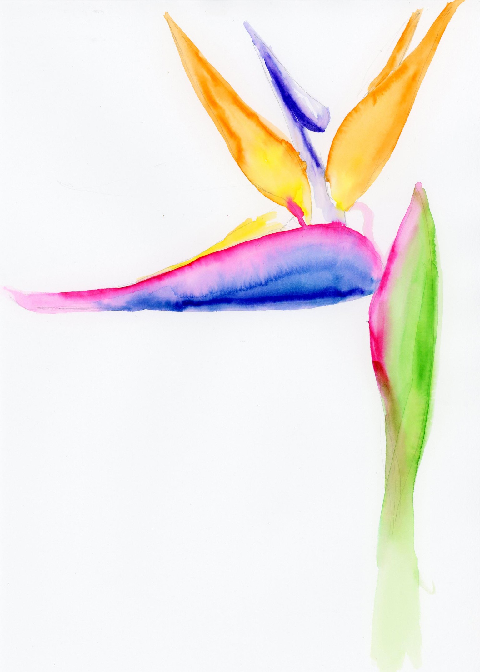 Another version of the Flamingo Flower - image 1 - student project