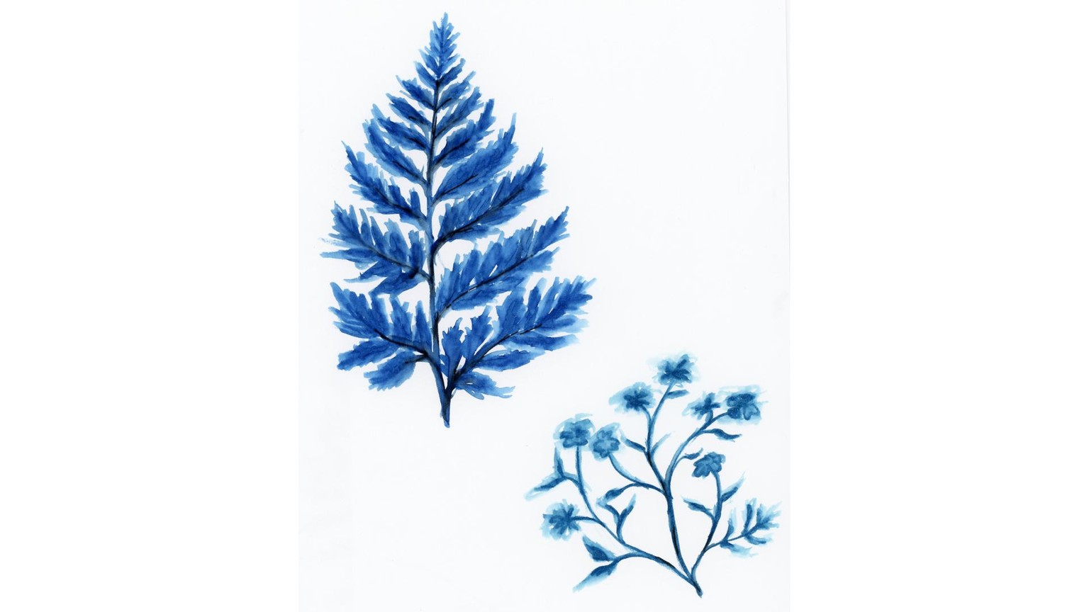Sketches for Painting Watercolor Botanical with Water-Based Markers - image 3 - student project
