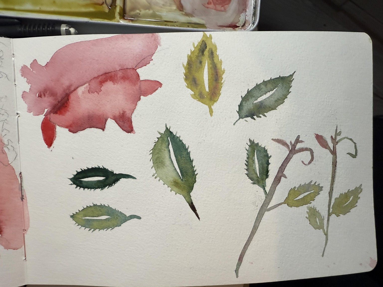 7 day challenge - image 8 - student project