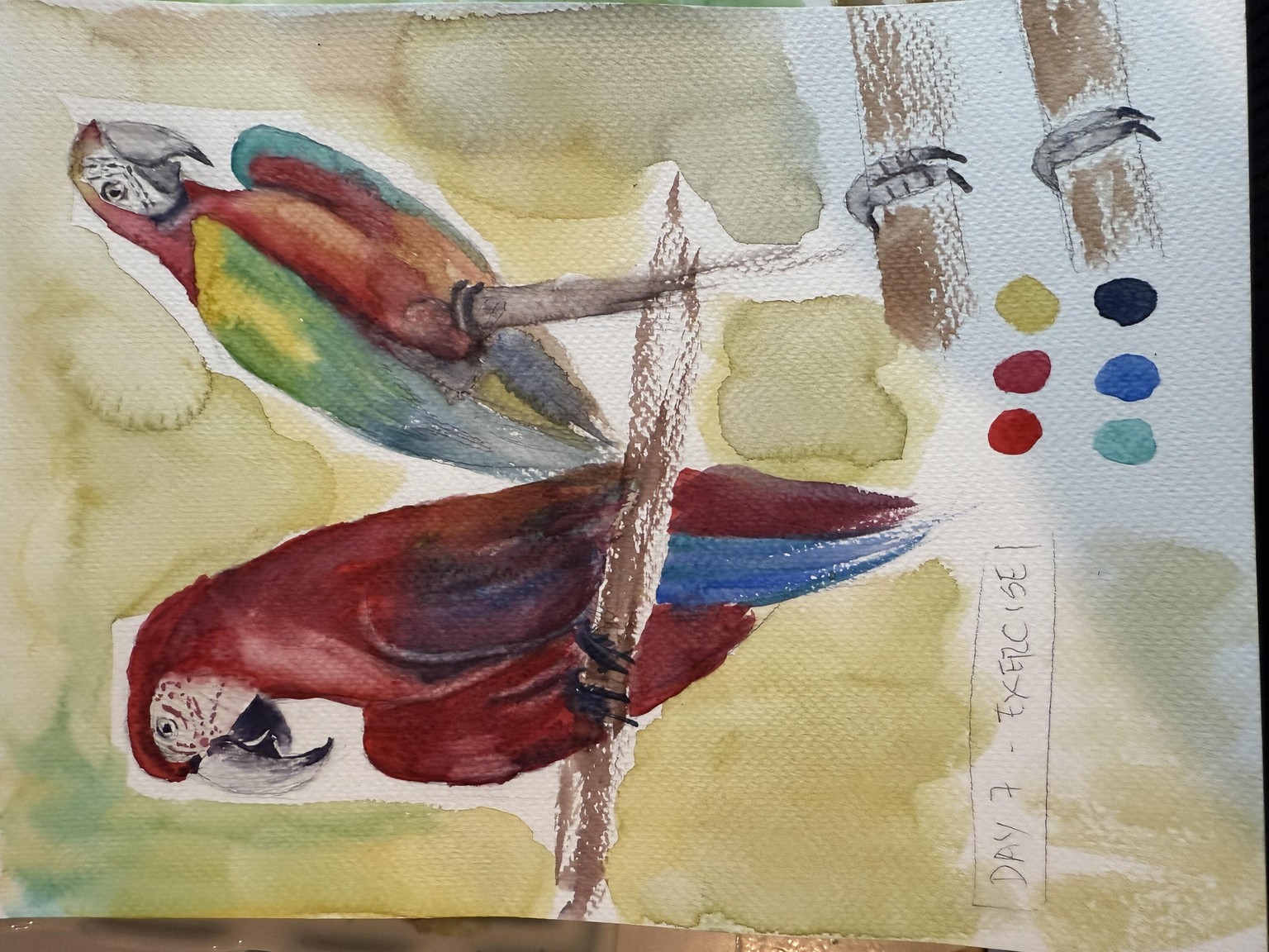 7 day challenge - image 12 - student project