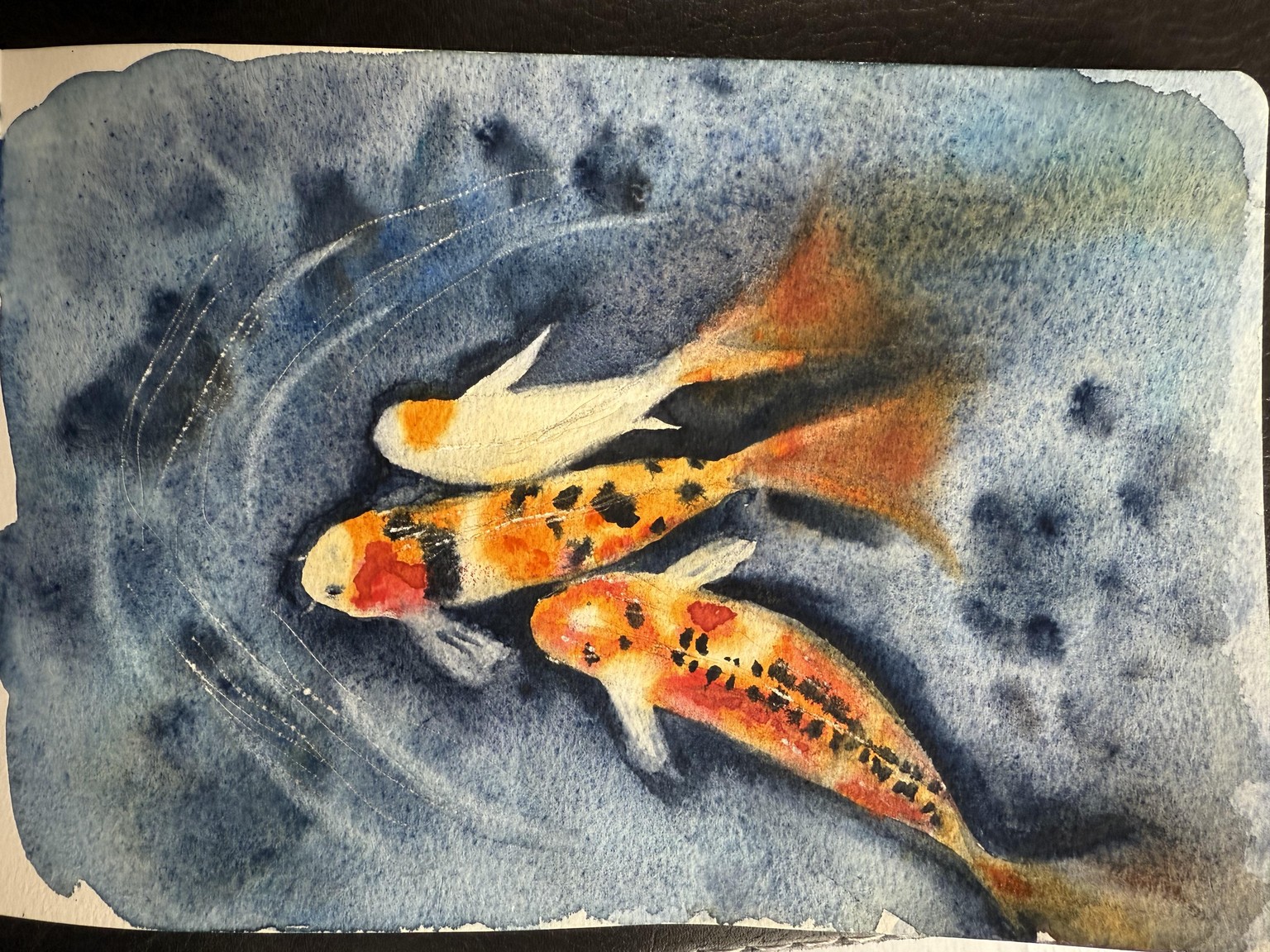 7 day challenge - image 2 - student project
