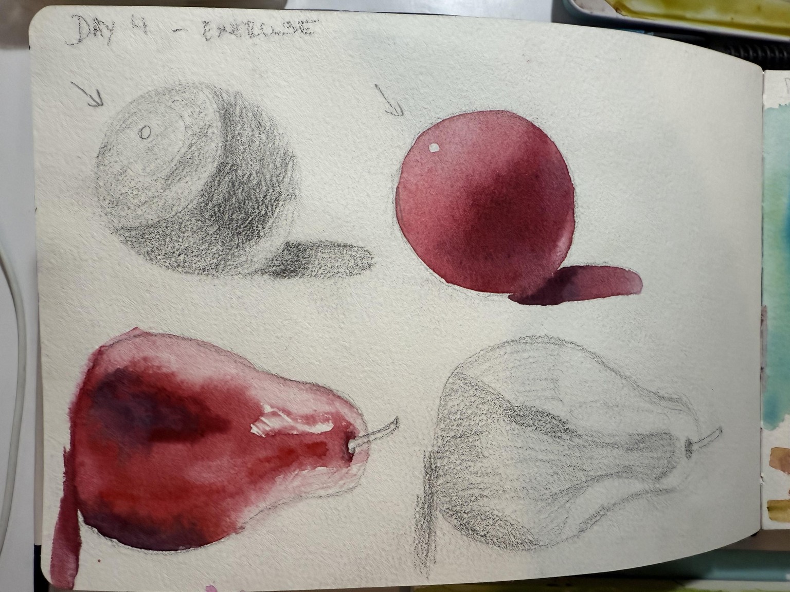 7 day challenge - image 5 - student project