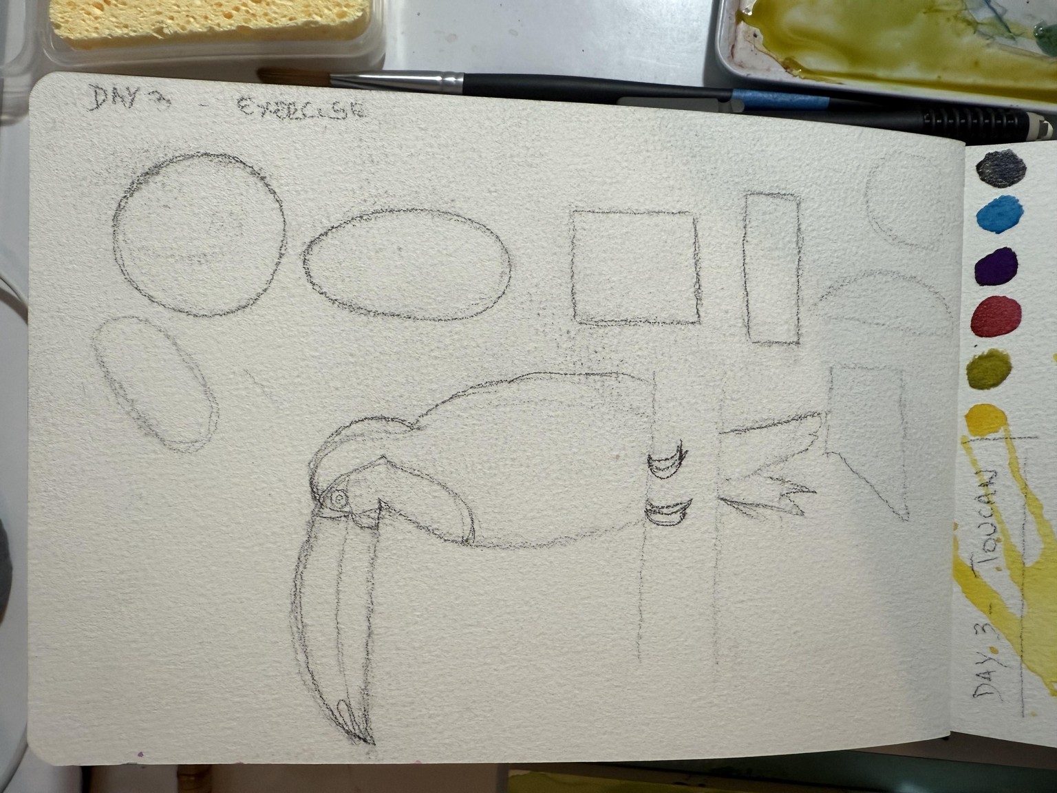 7 day challenge - image 3 - student project