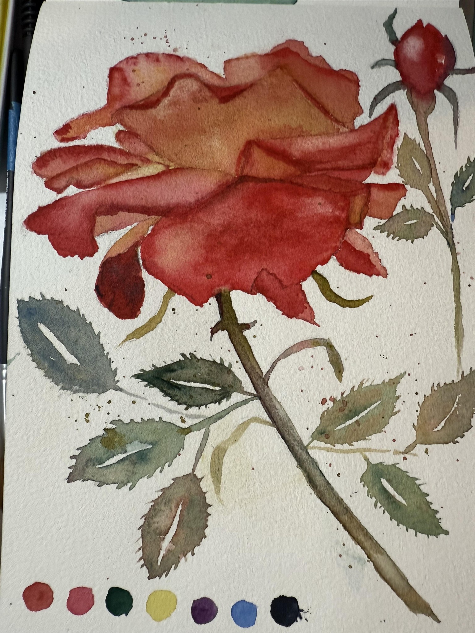 7 day challenge - image 9 - student project