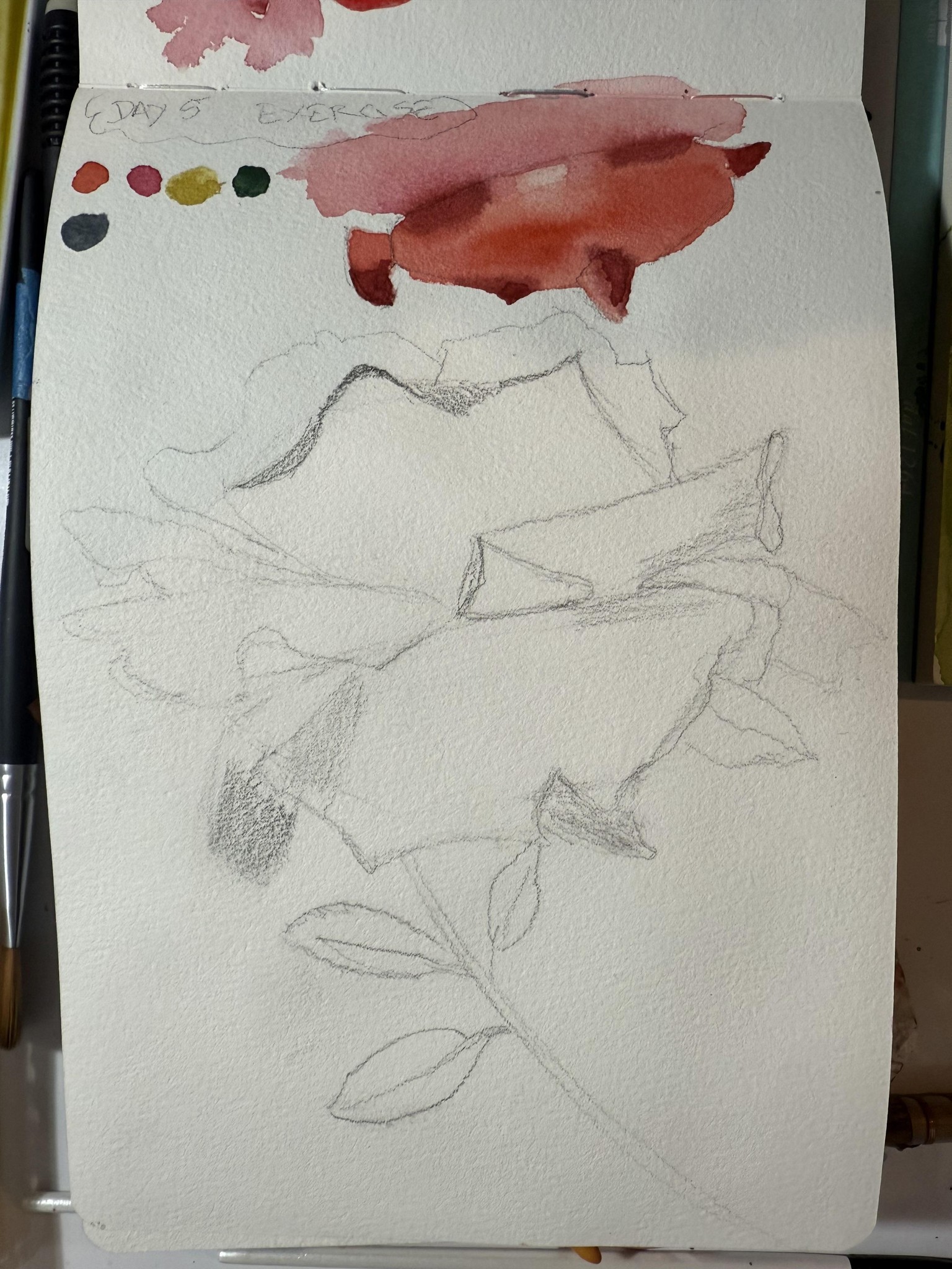 7 day challenge - image 7 - student project