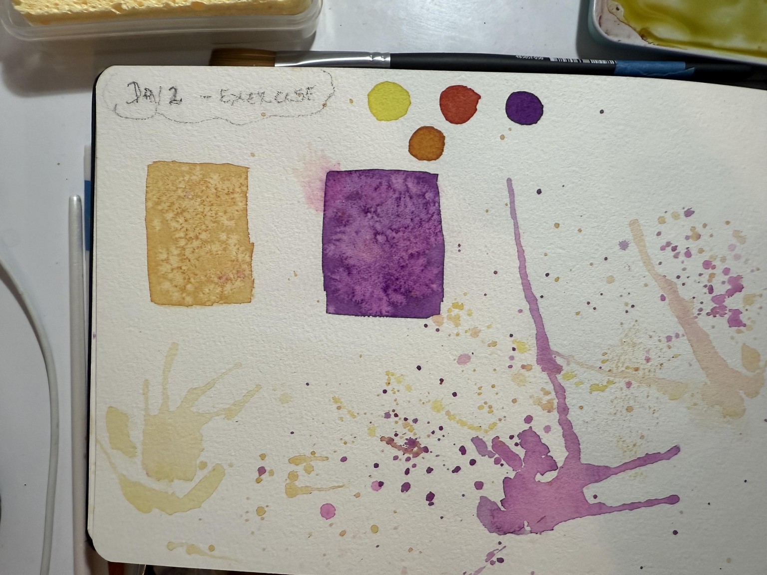 7 day challenge - image 17 - student project